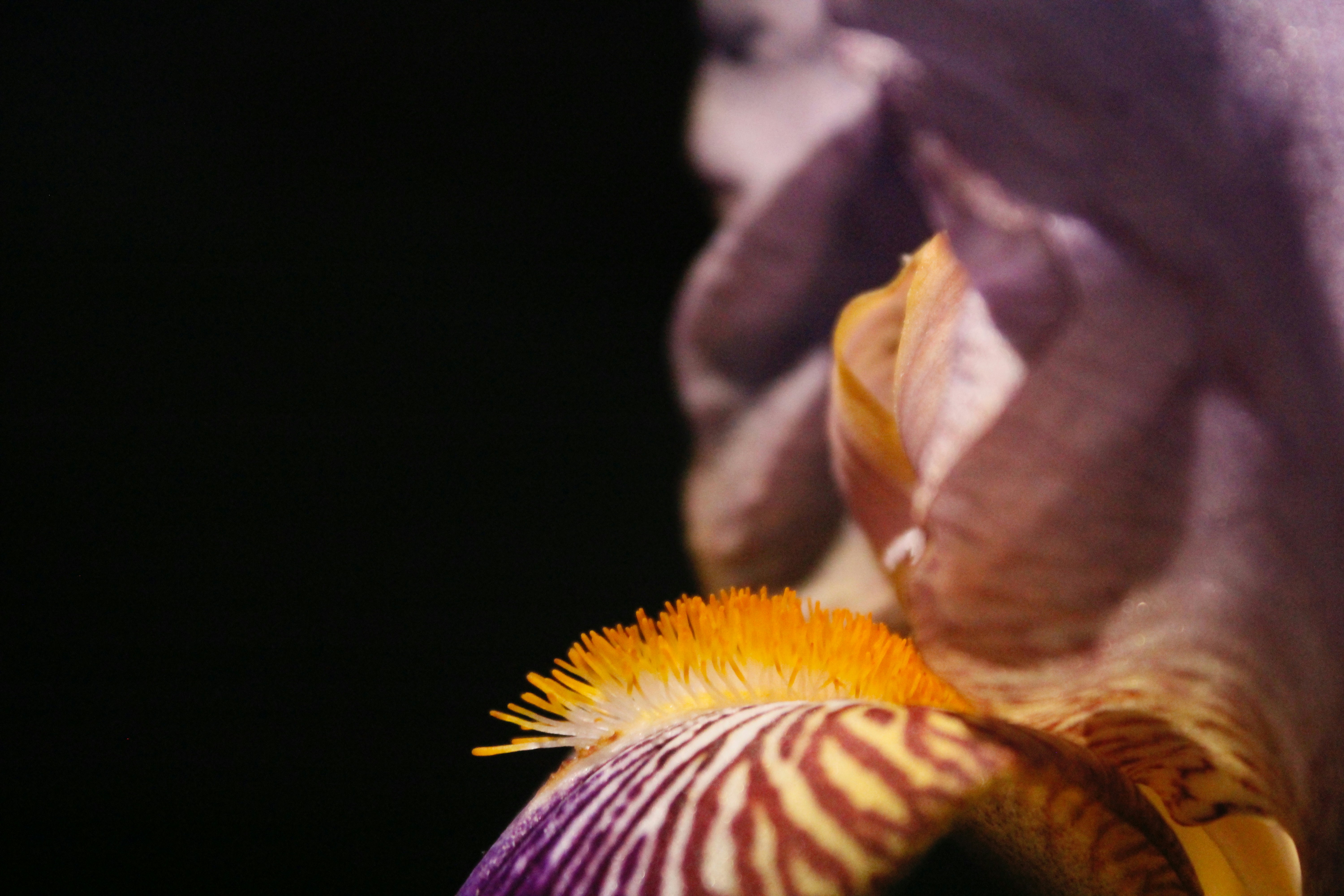 Photo by lisa_duqlaw