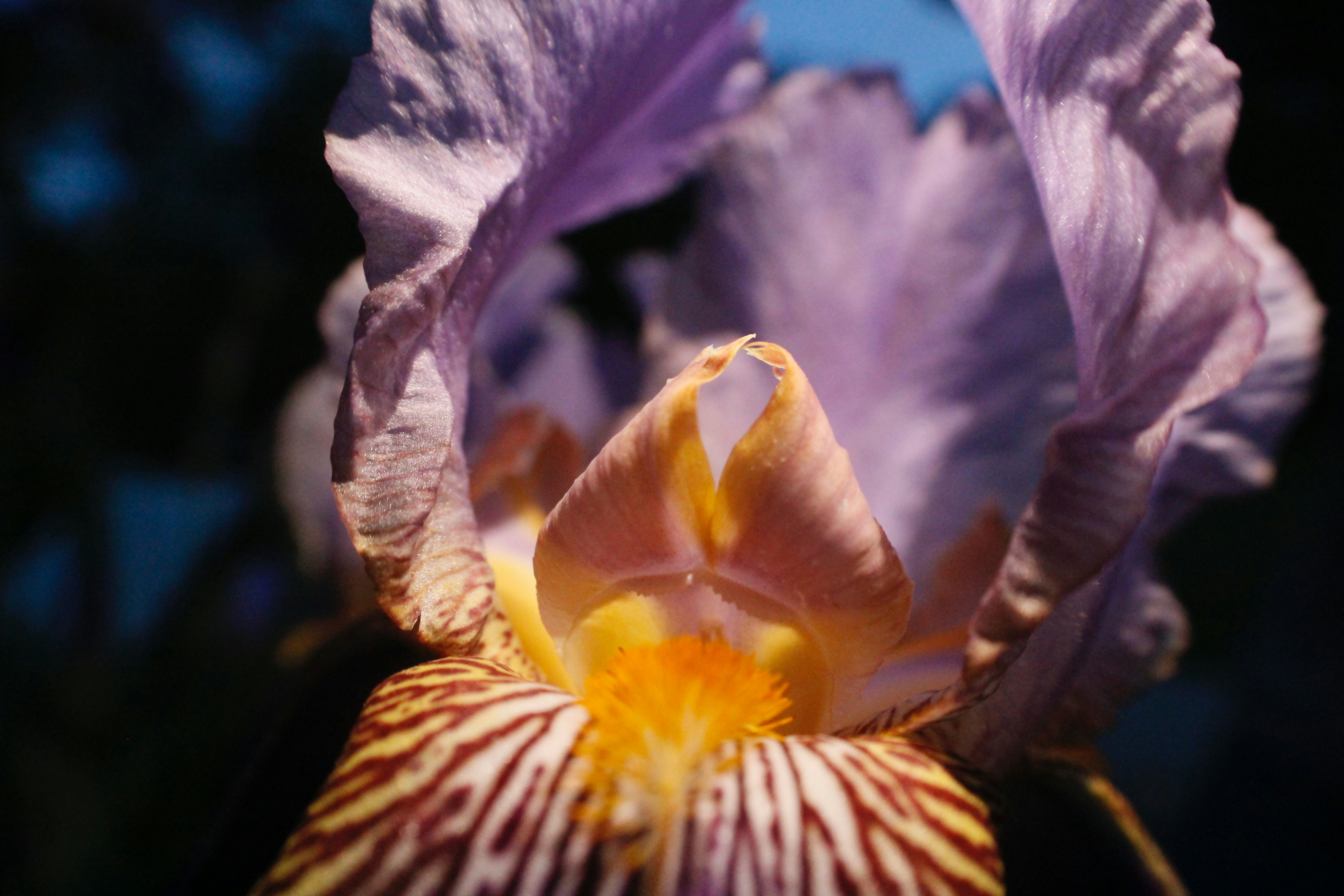 Photo by lisa_duqlaw