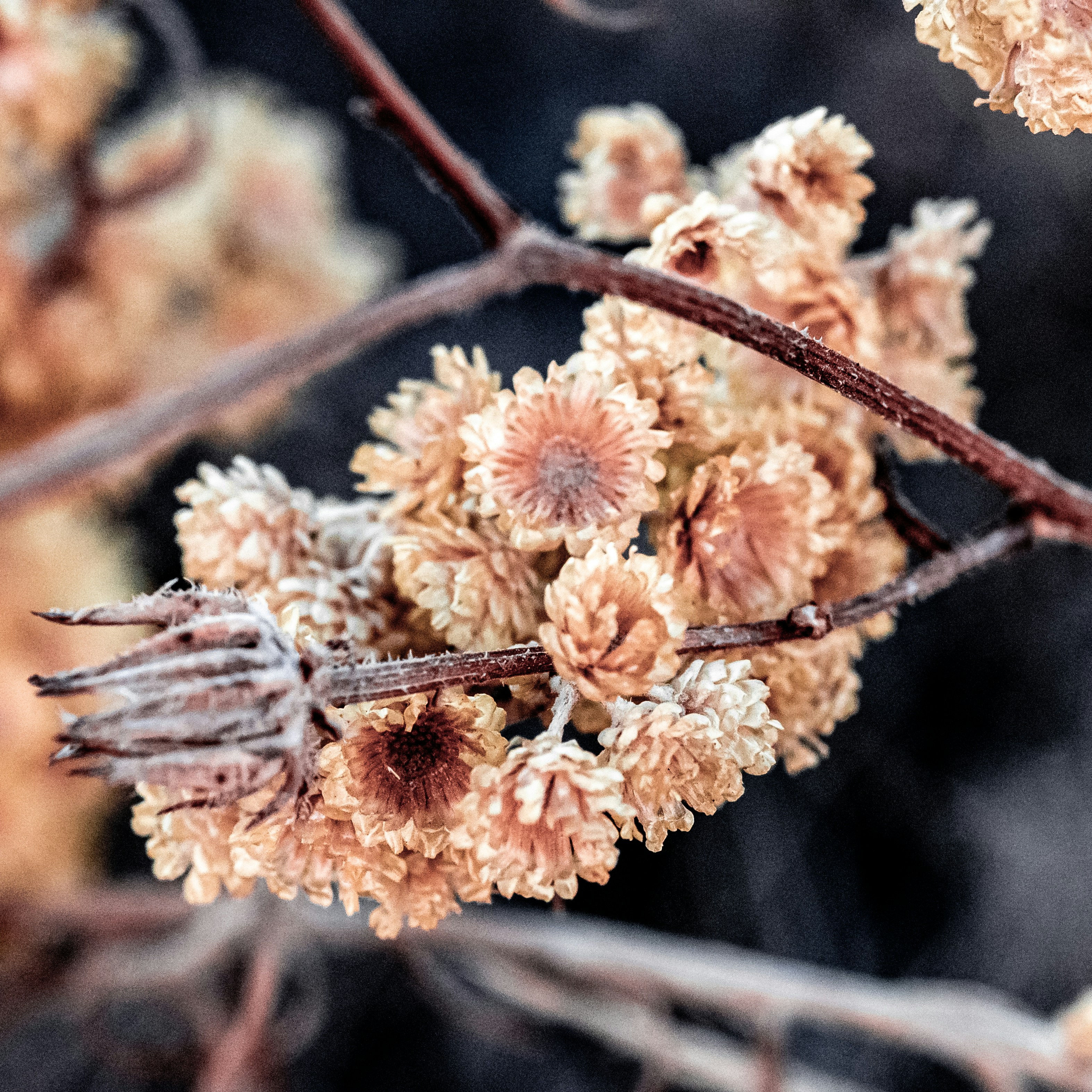 Photo by metalman343