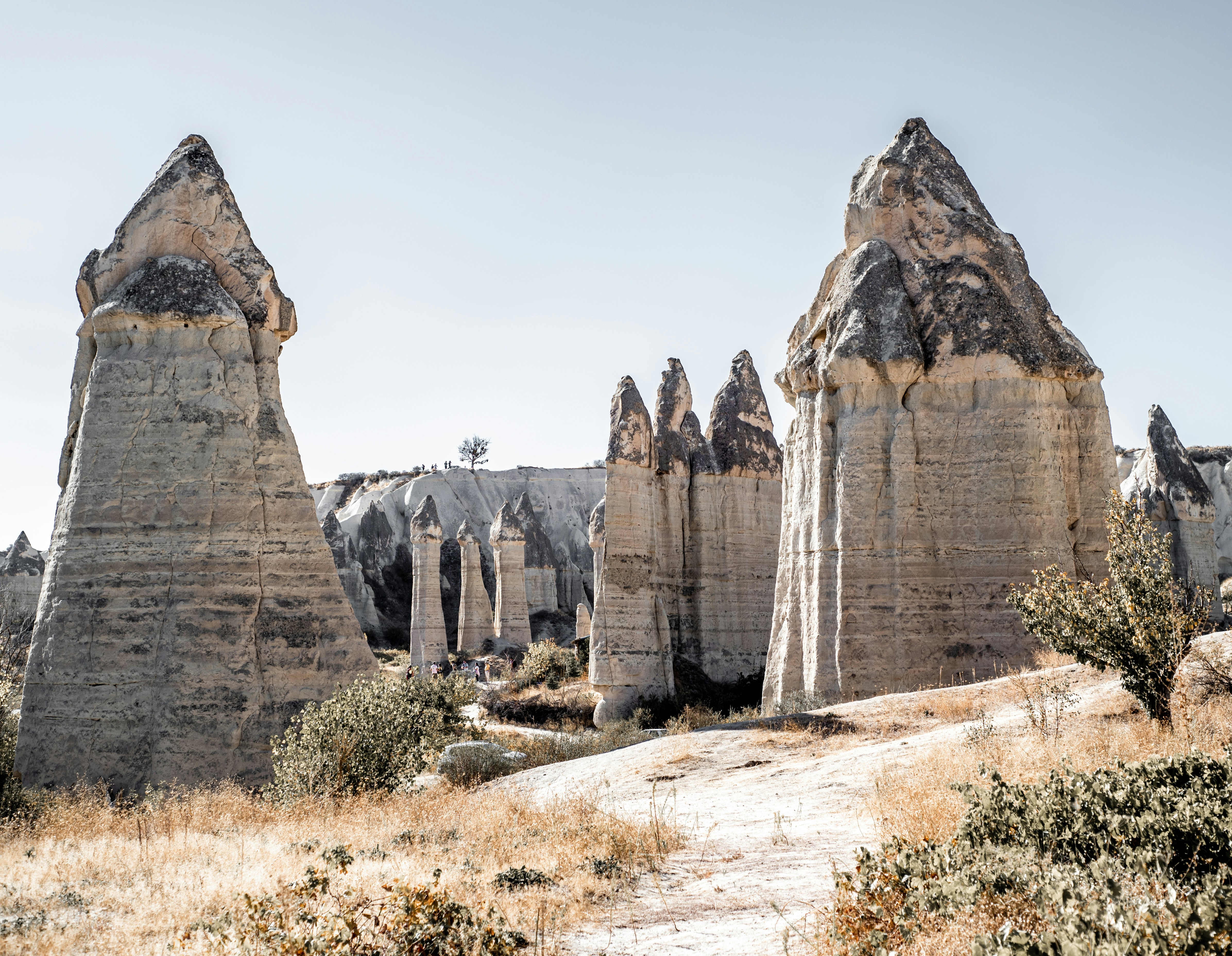 Weather in El Mansouria: Best Time to Visit (2026)