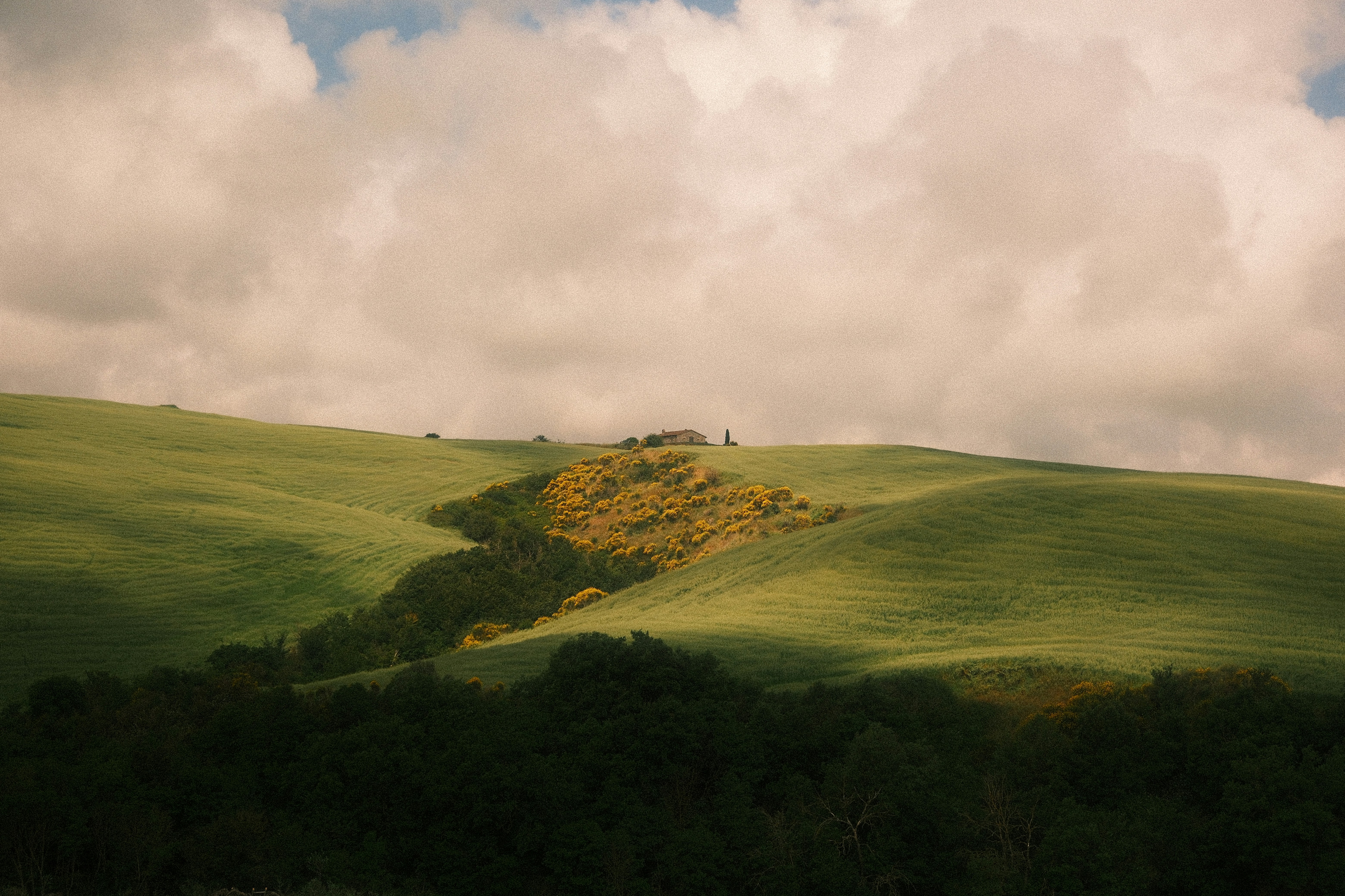 Photo by tufisalexandru