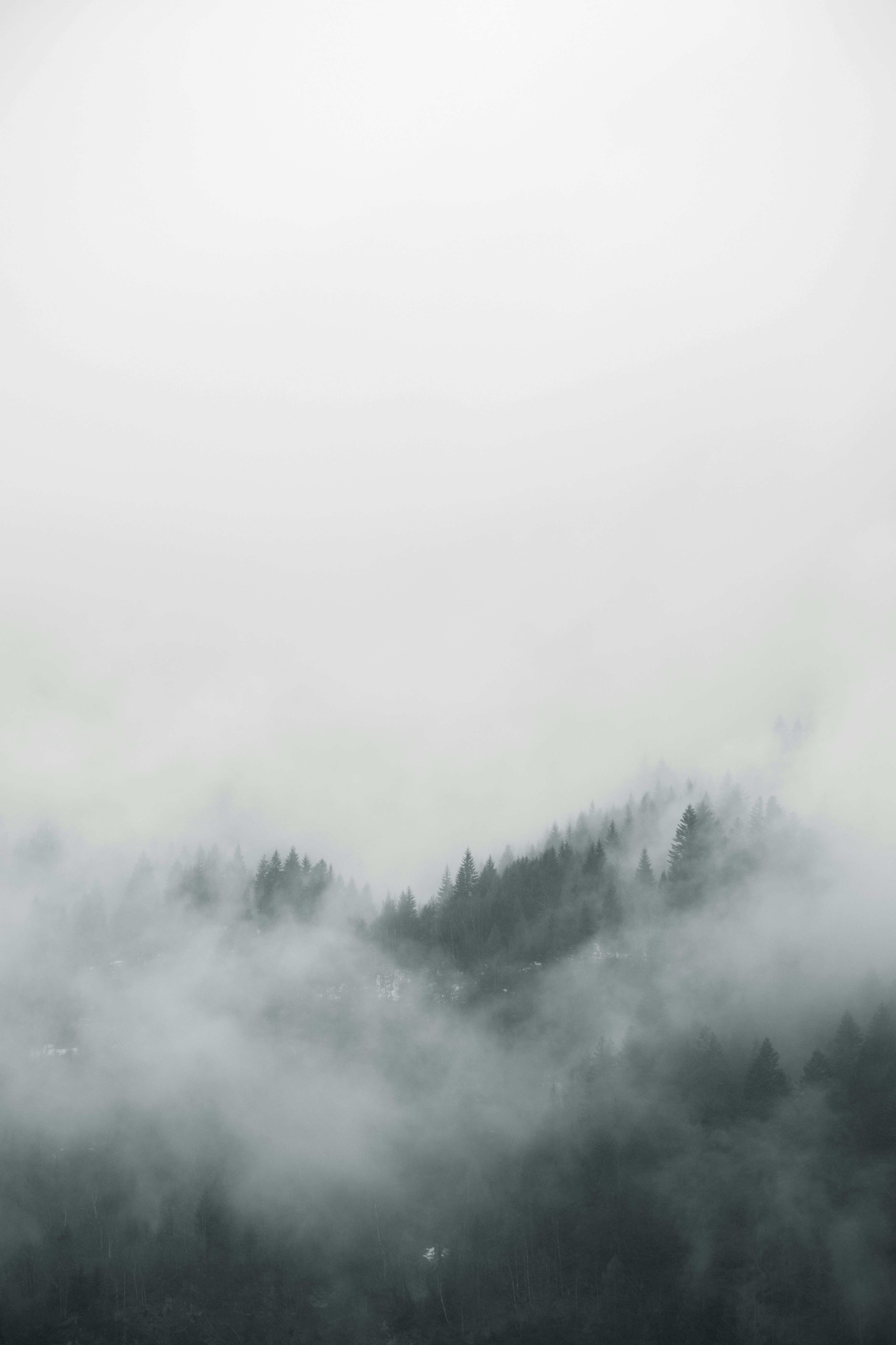 Photo by kevinmueller