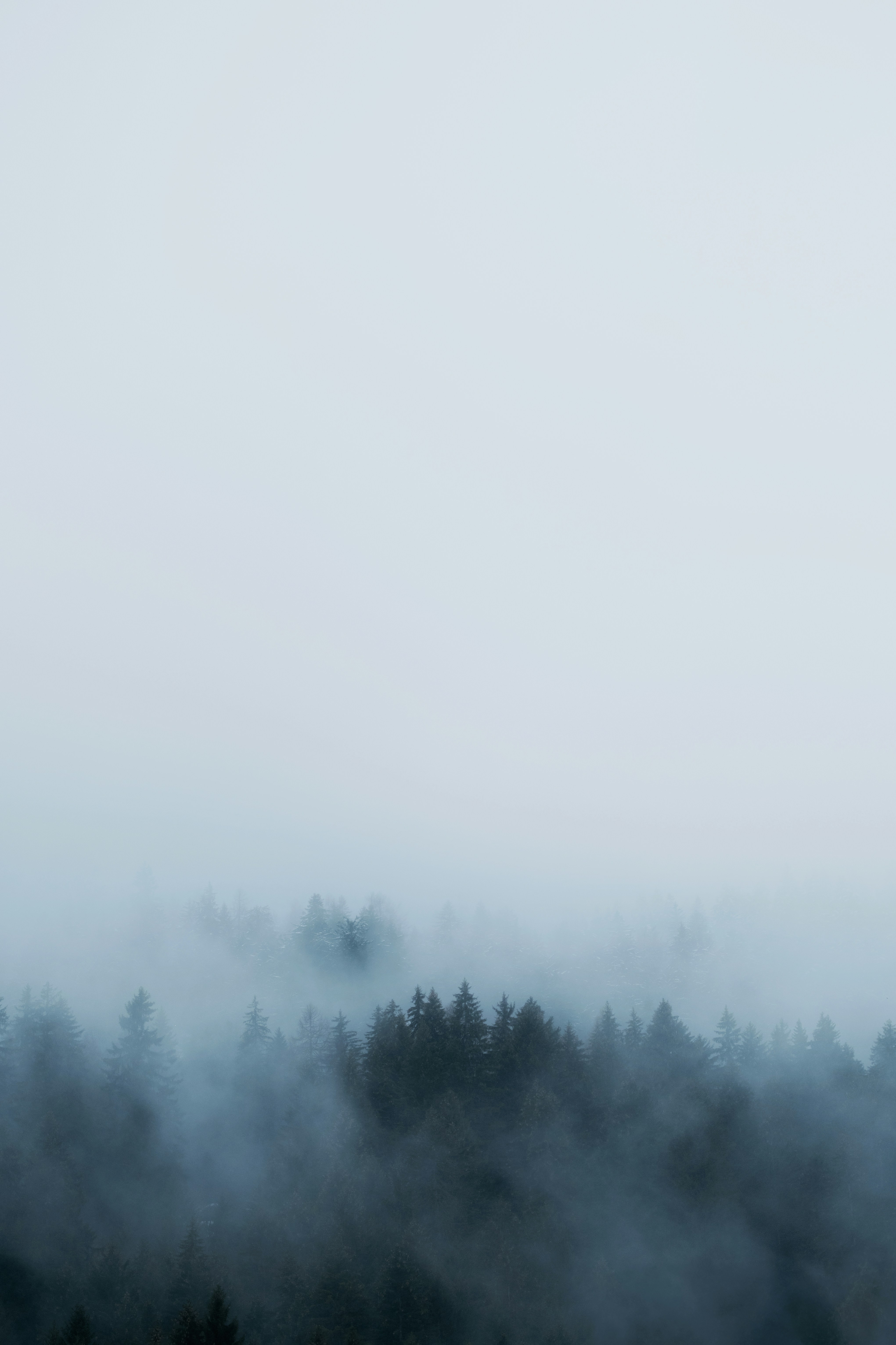 Photo by kevinmueller