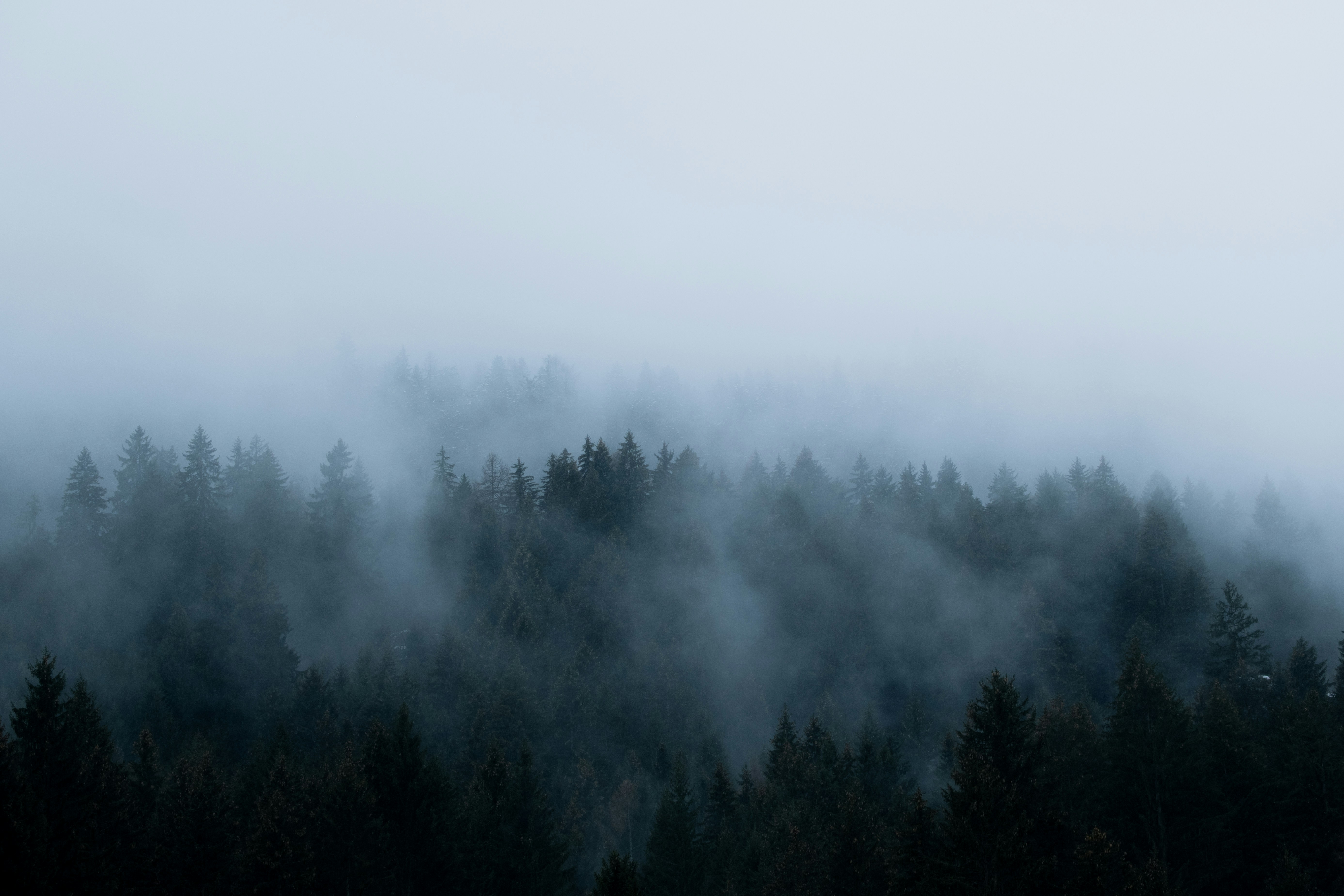 Photo by kevinmueller