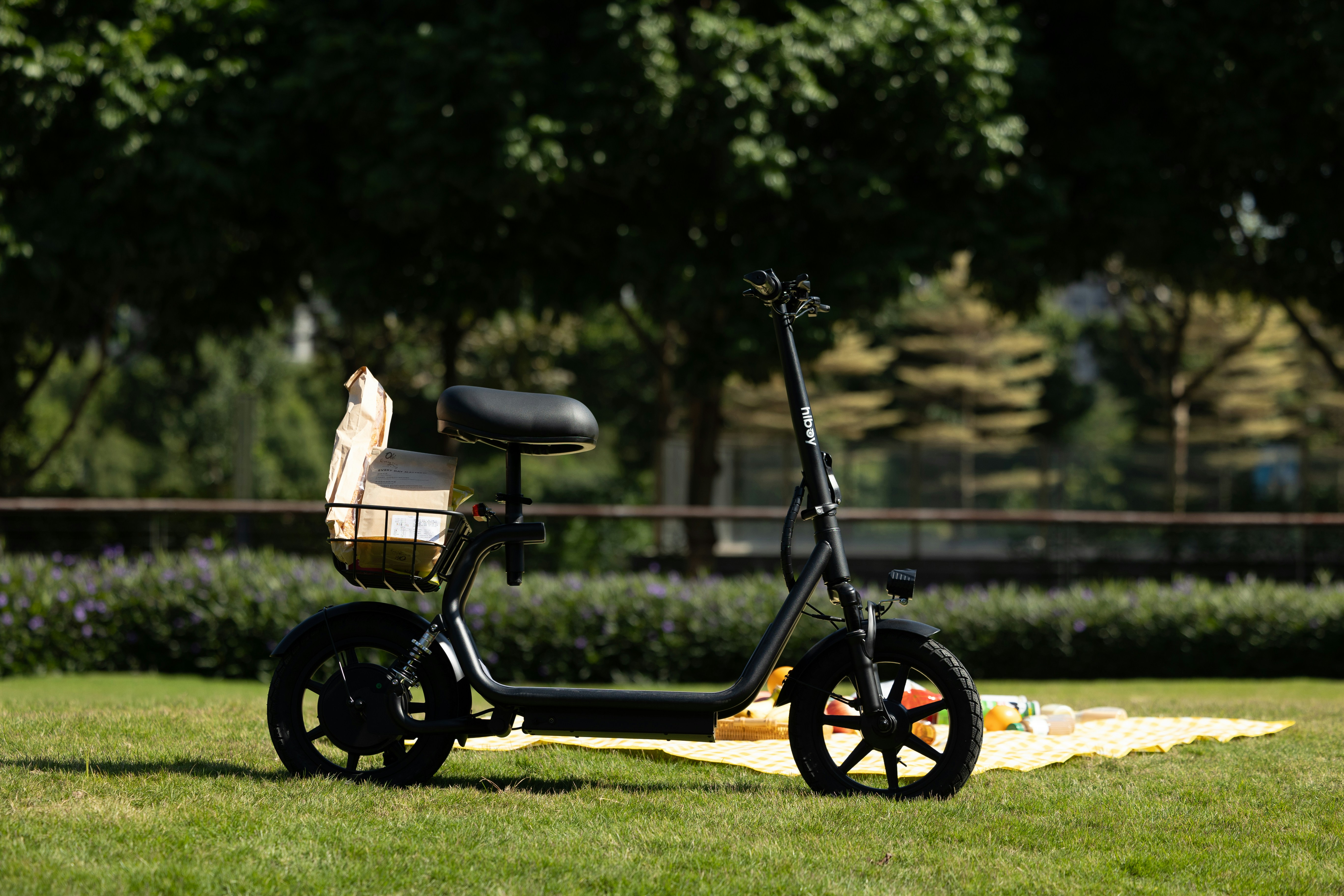 A black scooter sits on a picnic blanket.