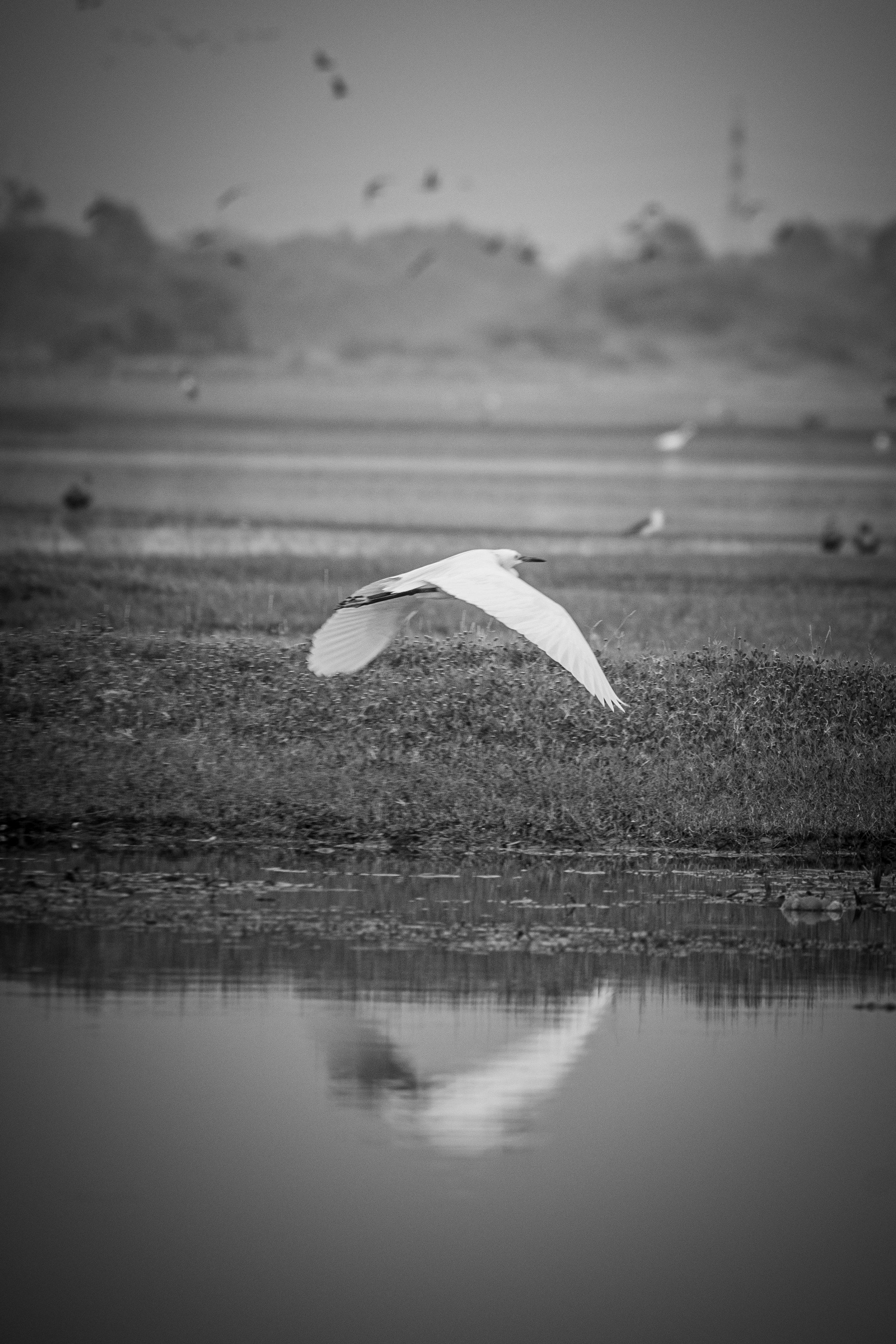 Photo by faheem_2911