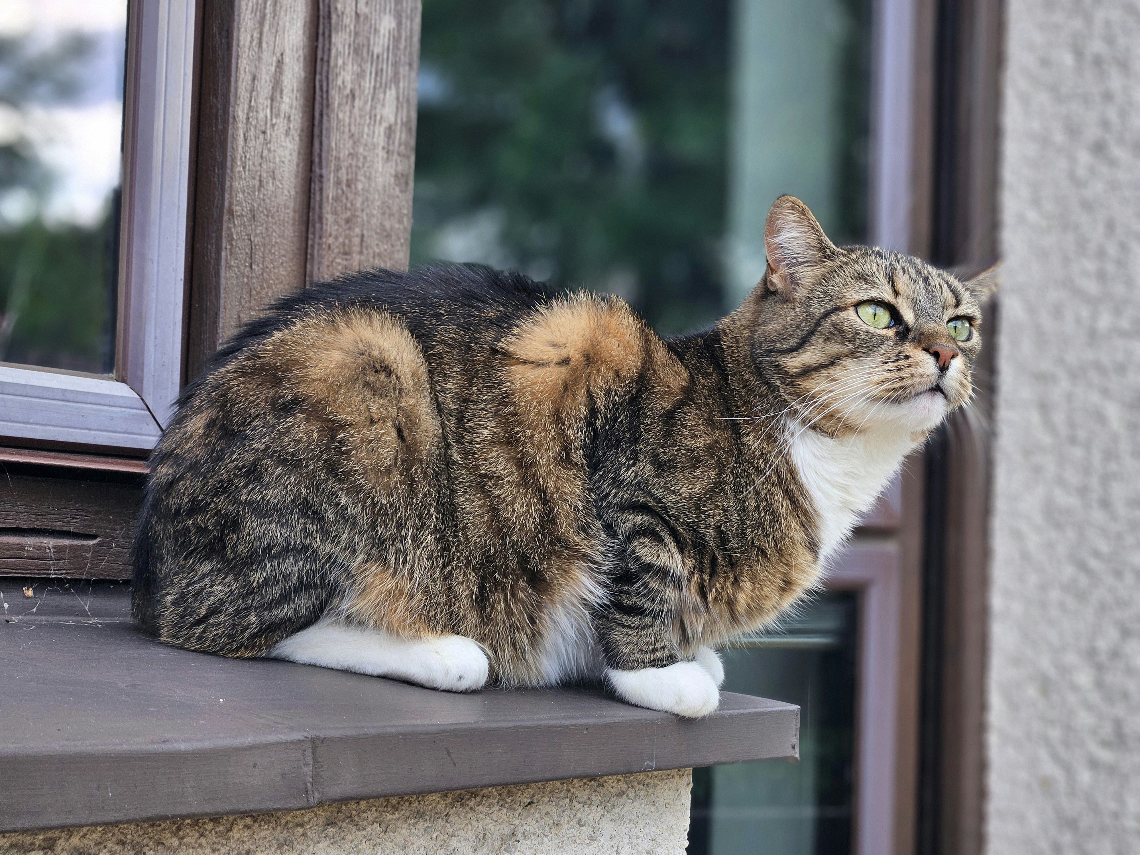 Photo by marjorylucabaxter