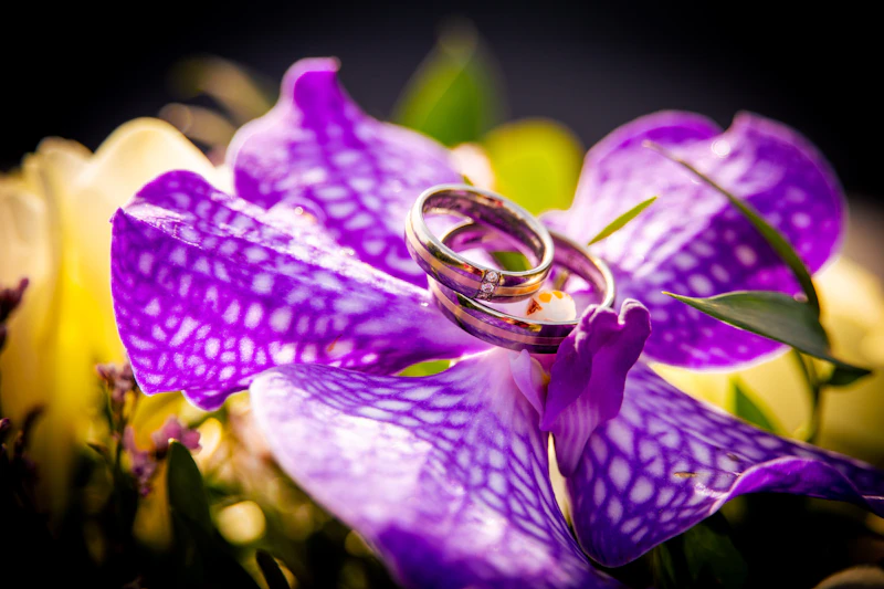 Anillos de boda sobre flores