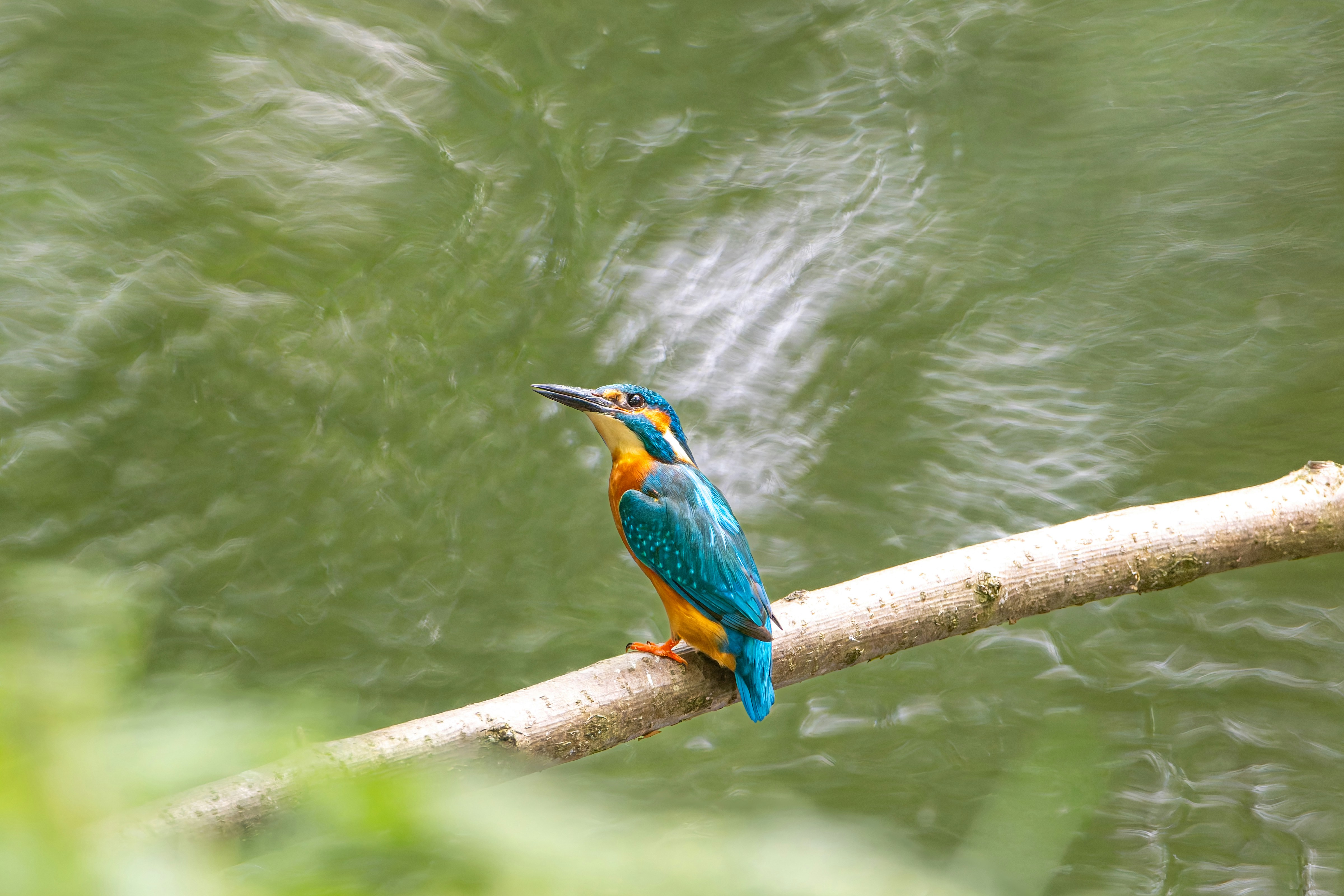 Photo by siegfriedpoepperl