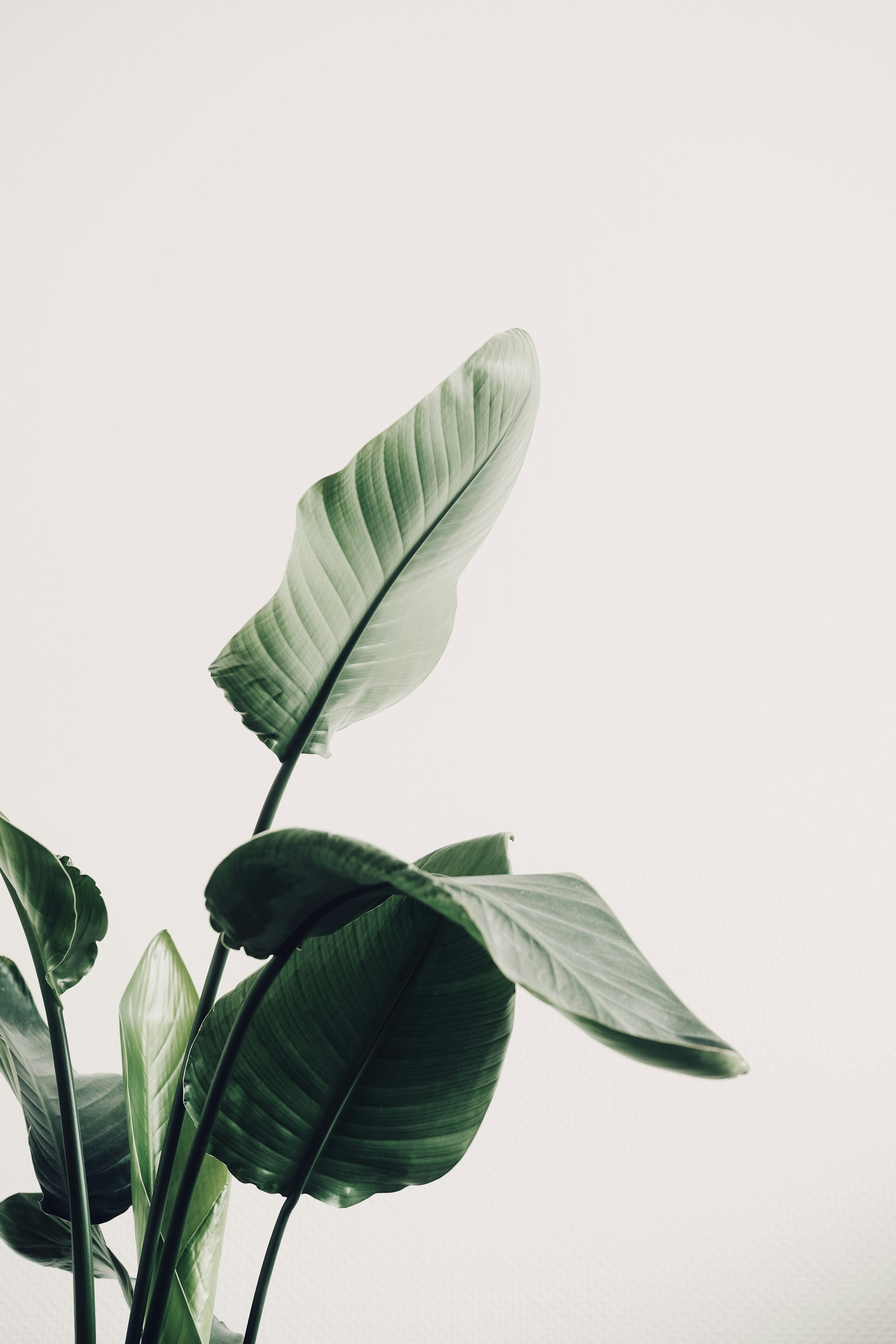 Photo by visualsbying