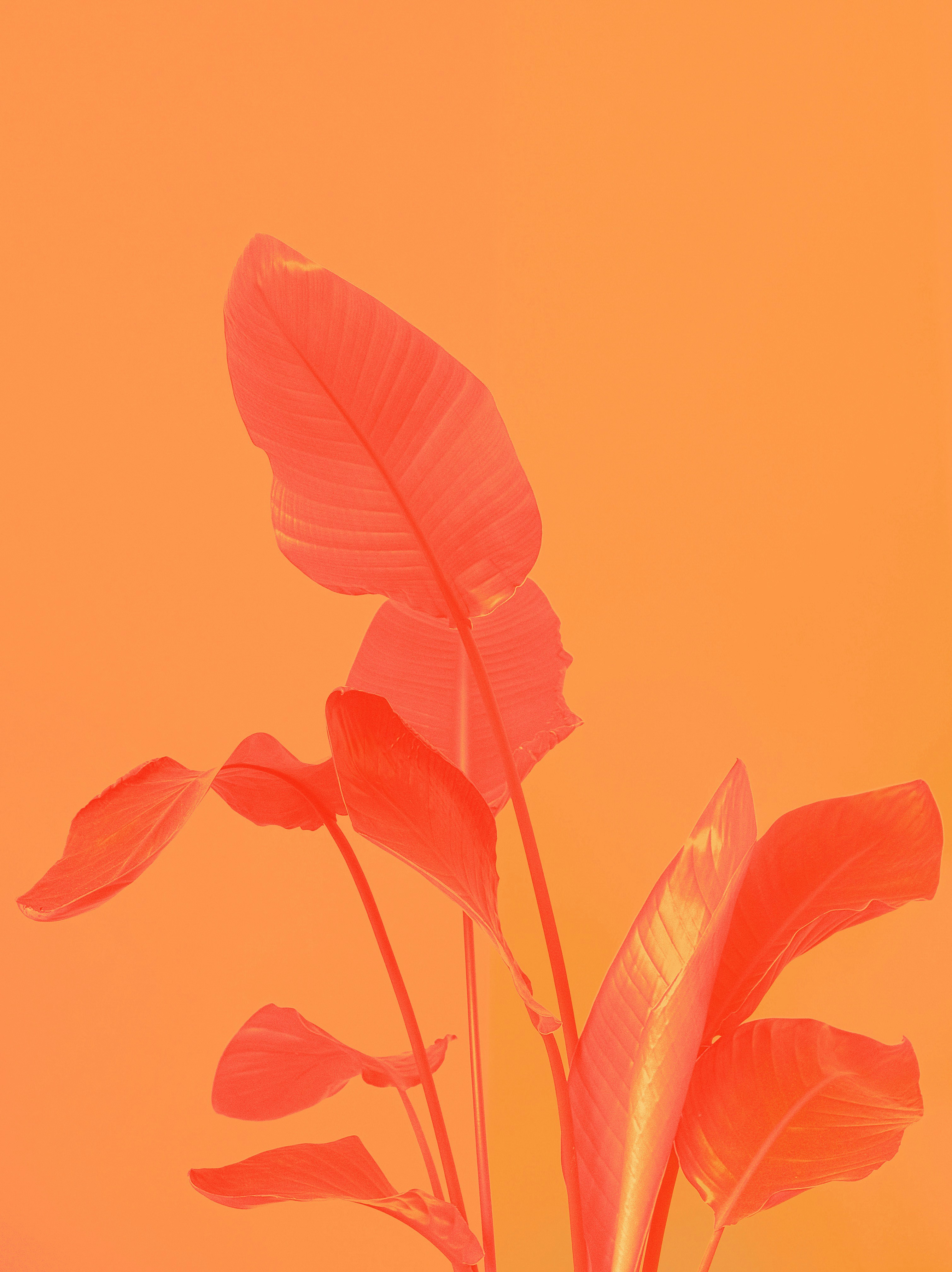 Cover Image of the Post