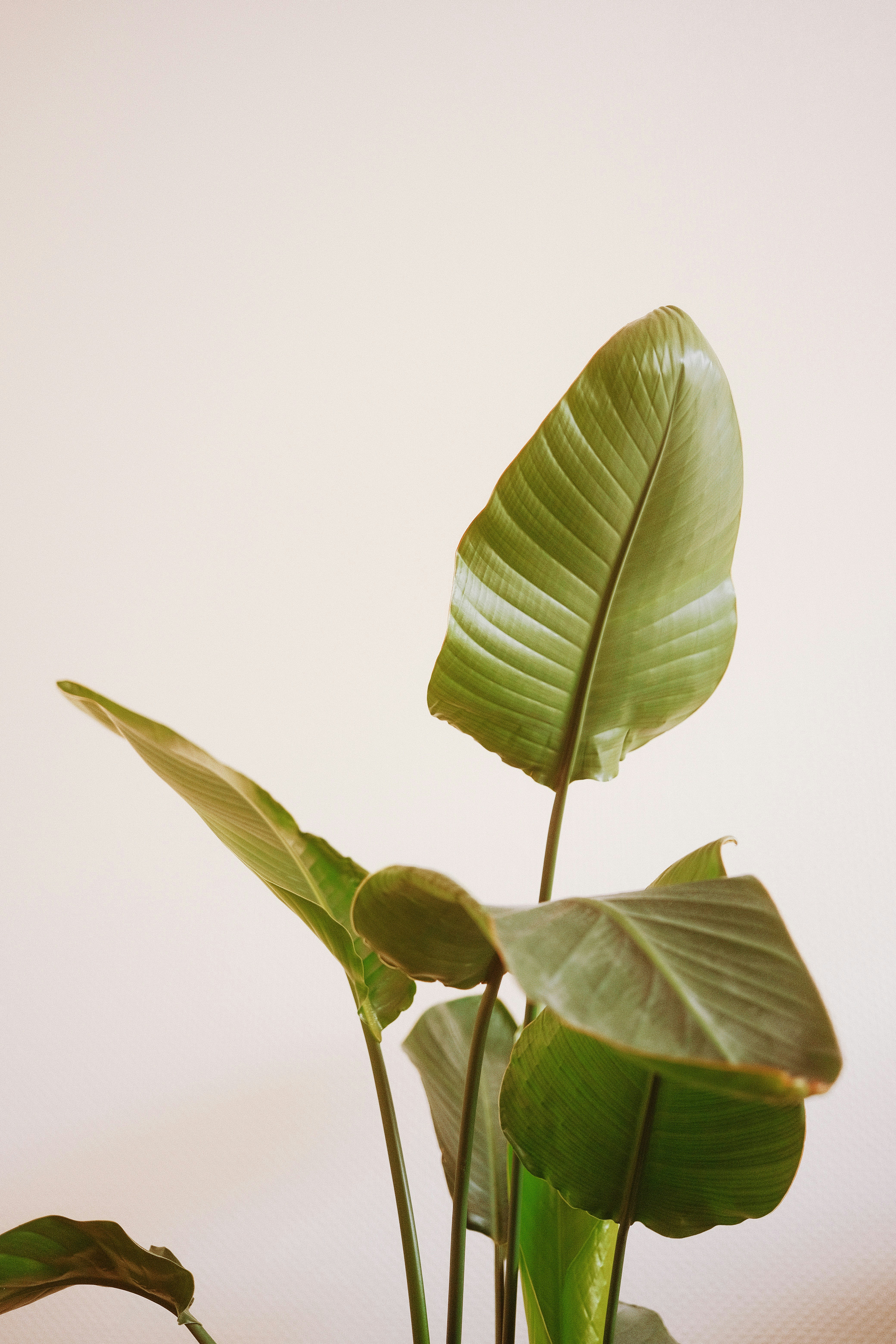 Photo by visualsbying