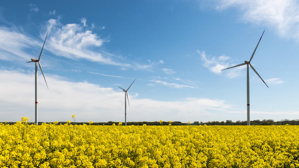 Three wind turbines stand tall in a serene landscape with fluffy white clouds above