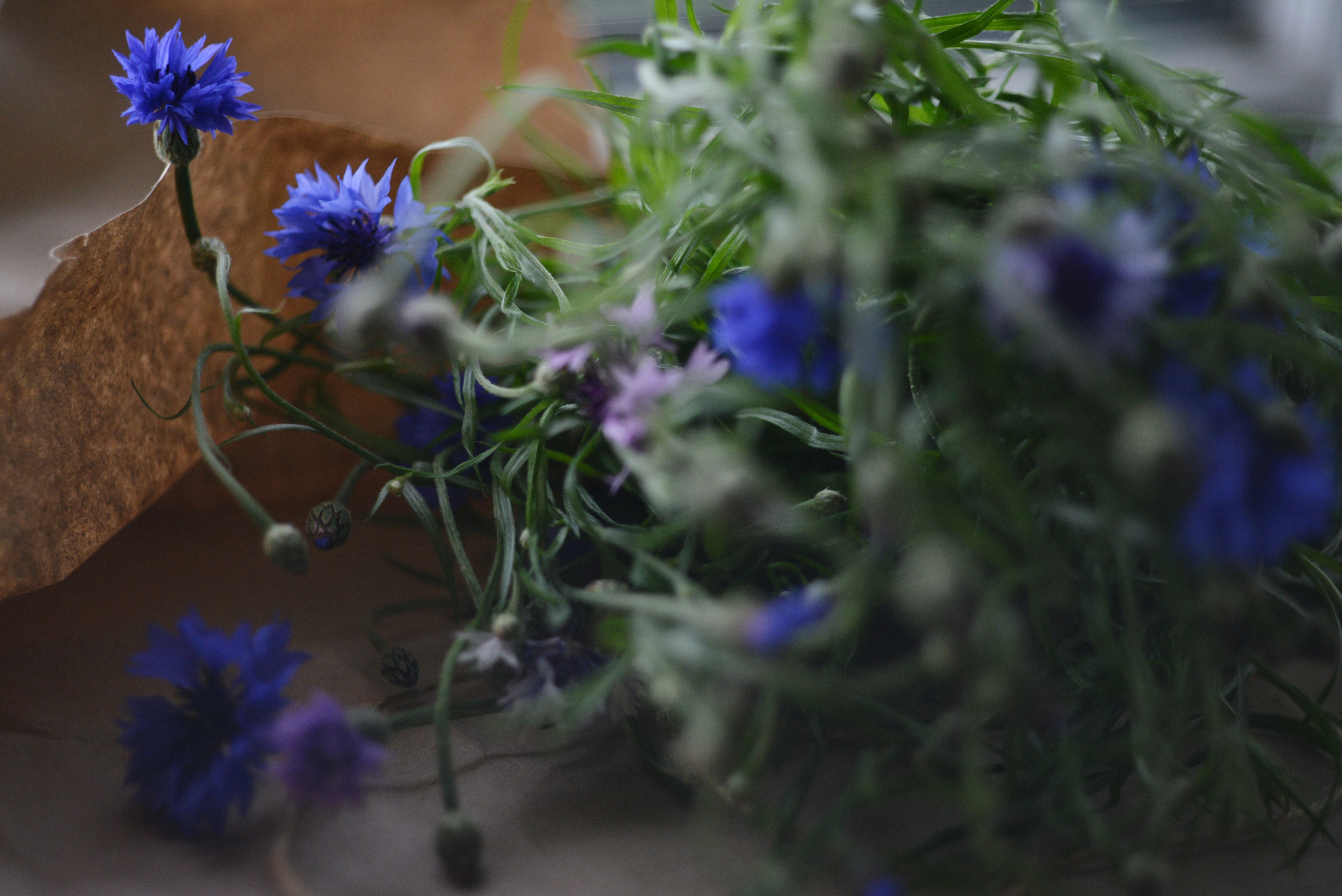 Photo by cherstve_pechivo