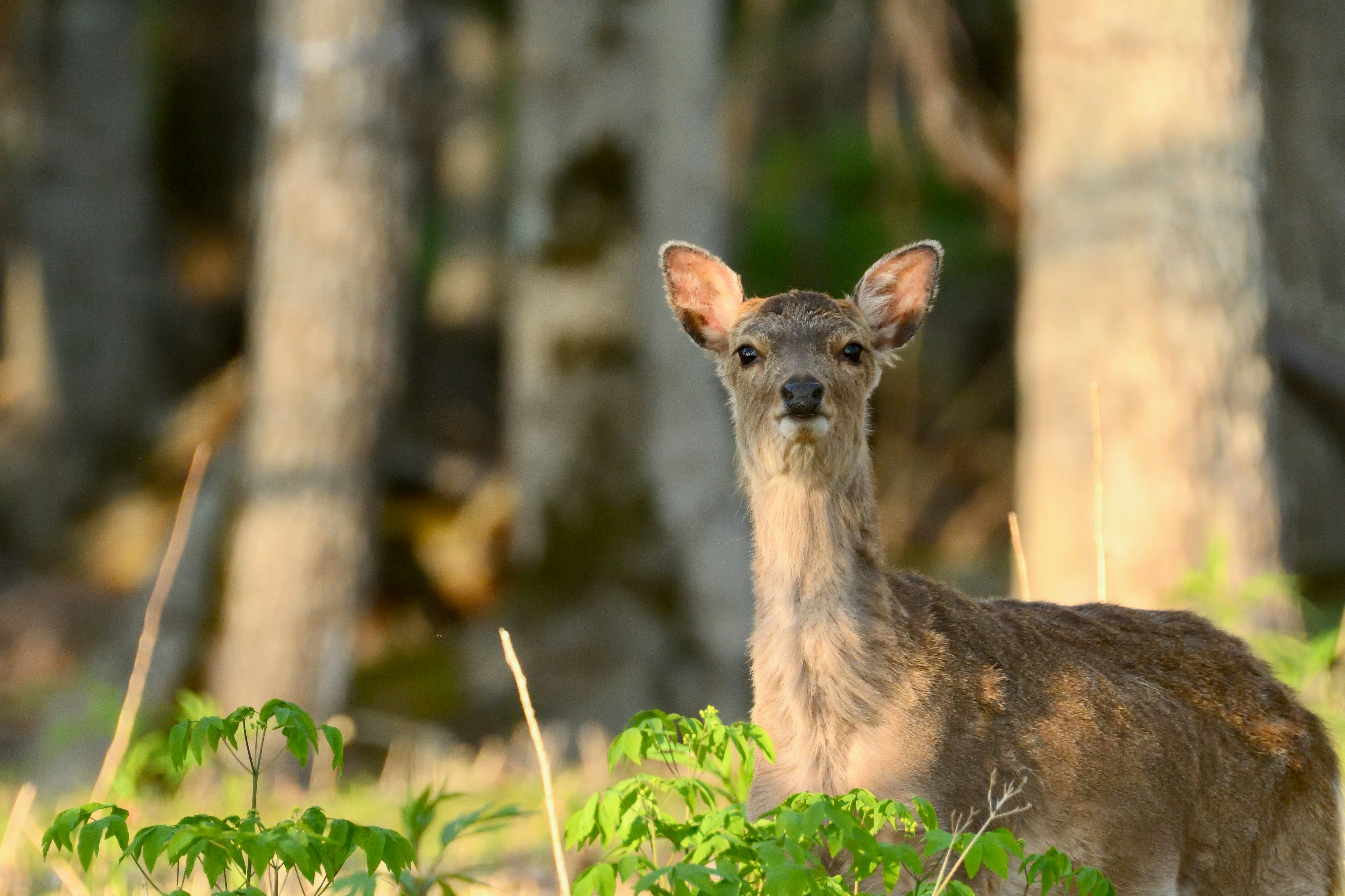 Photo by freezer_nico