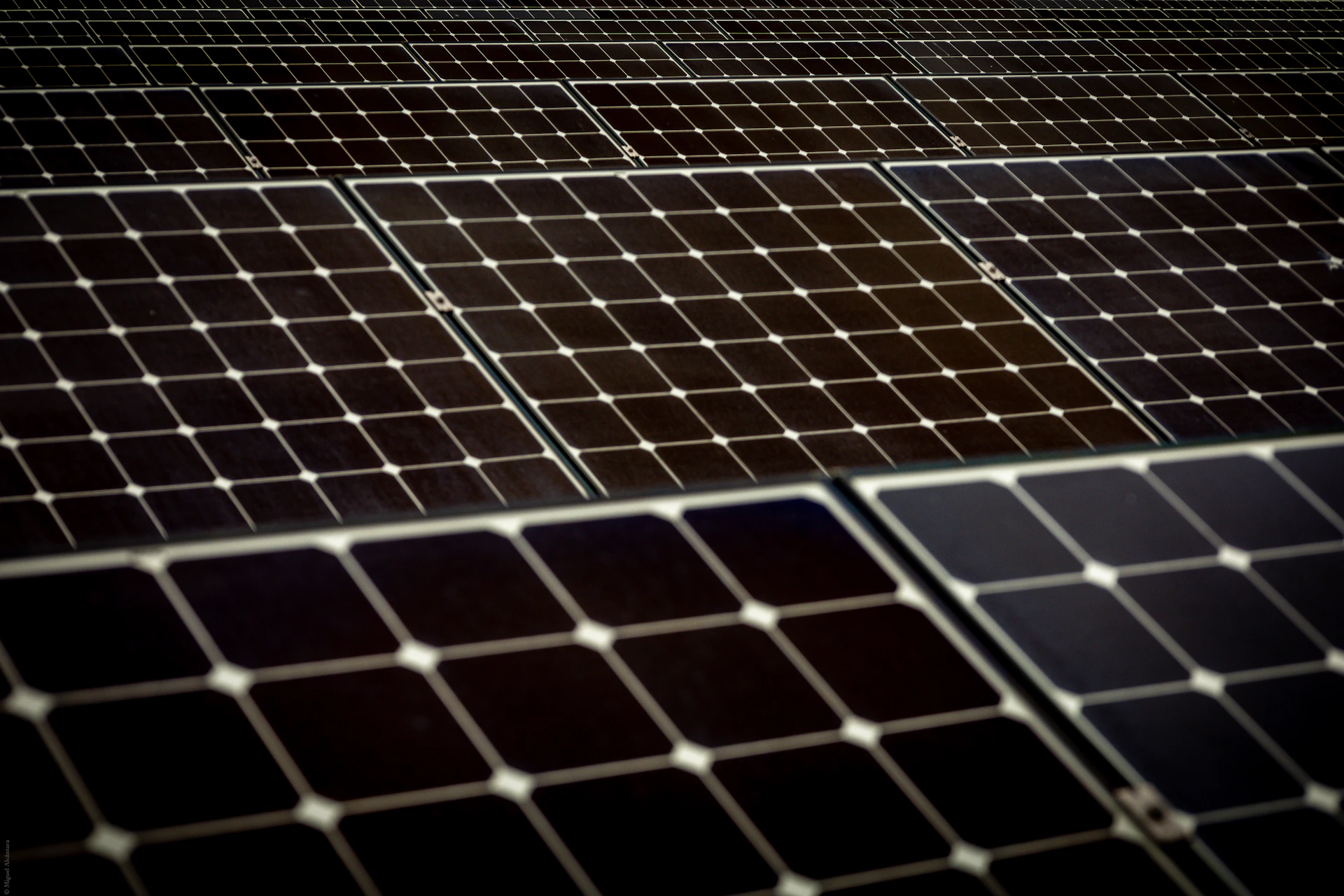 Solar panels are arranged in a vast array.