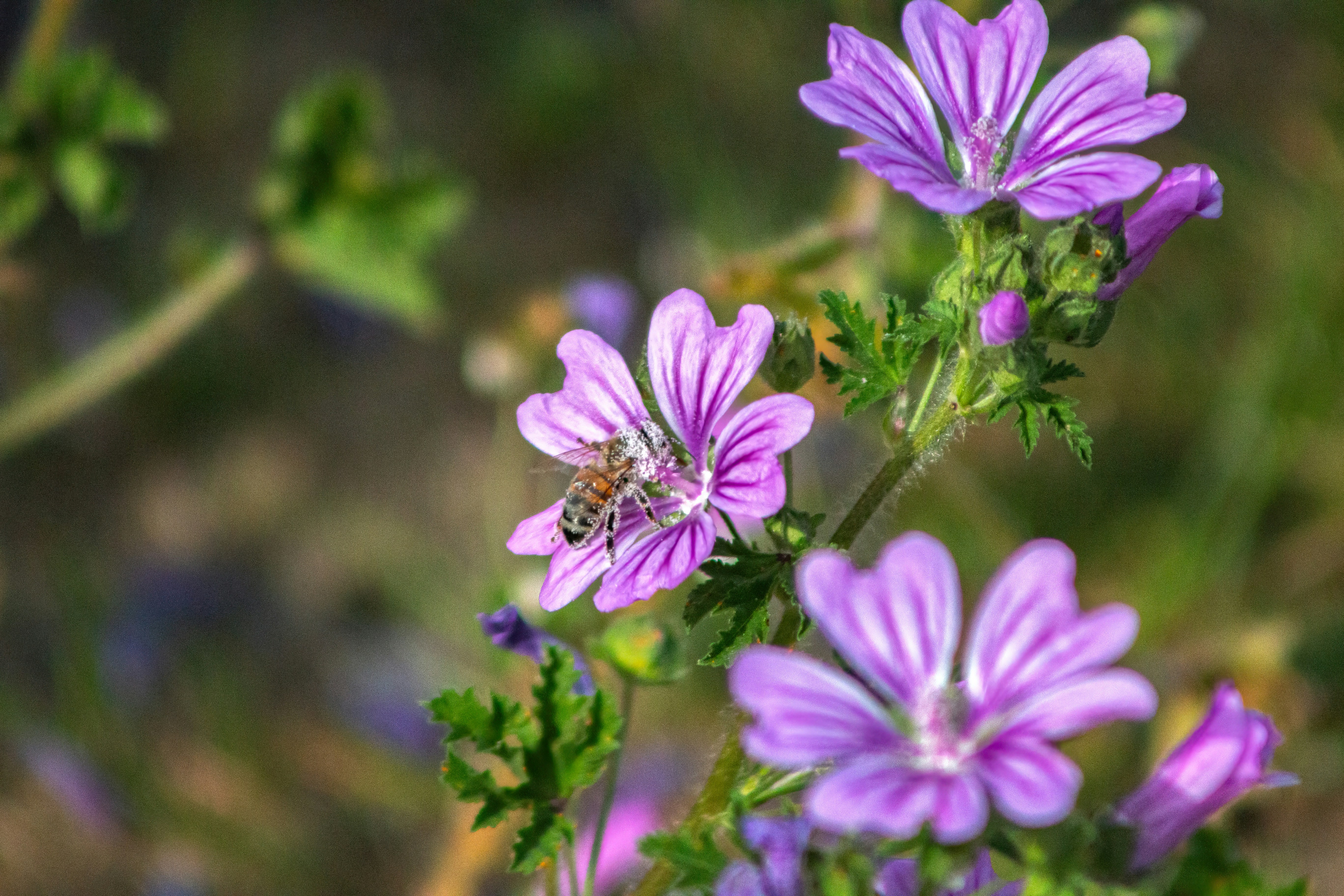 Photo by stepan_konev