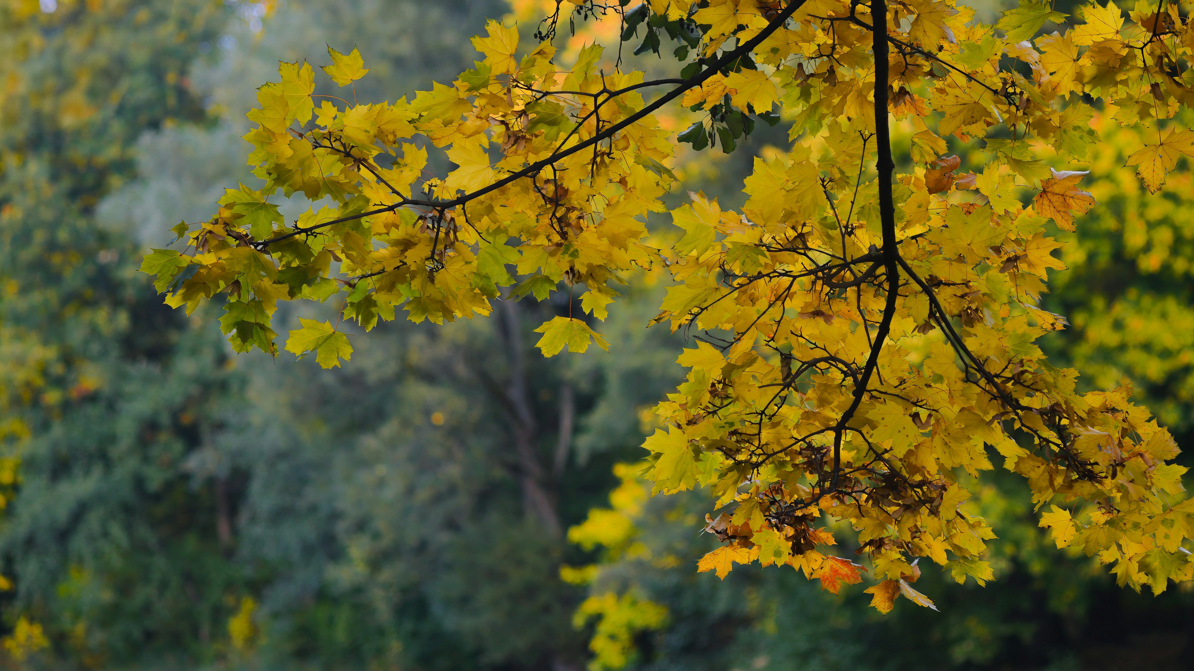 Photo by spacelistener