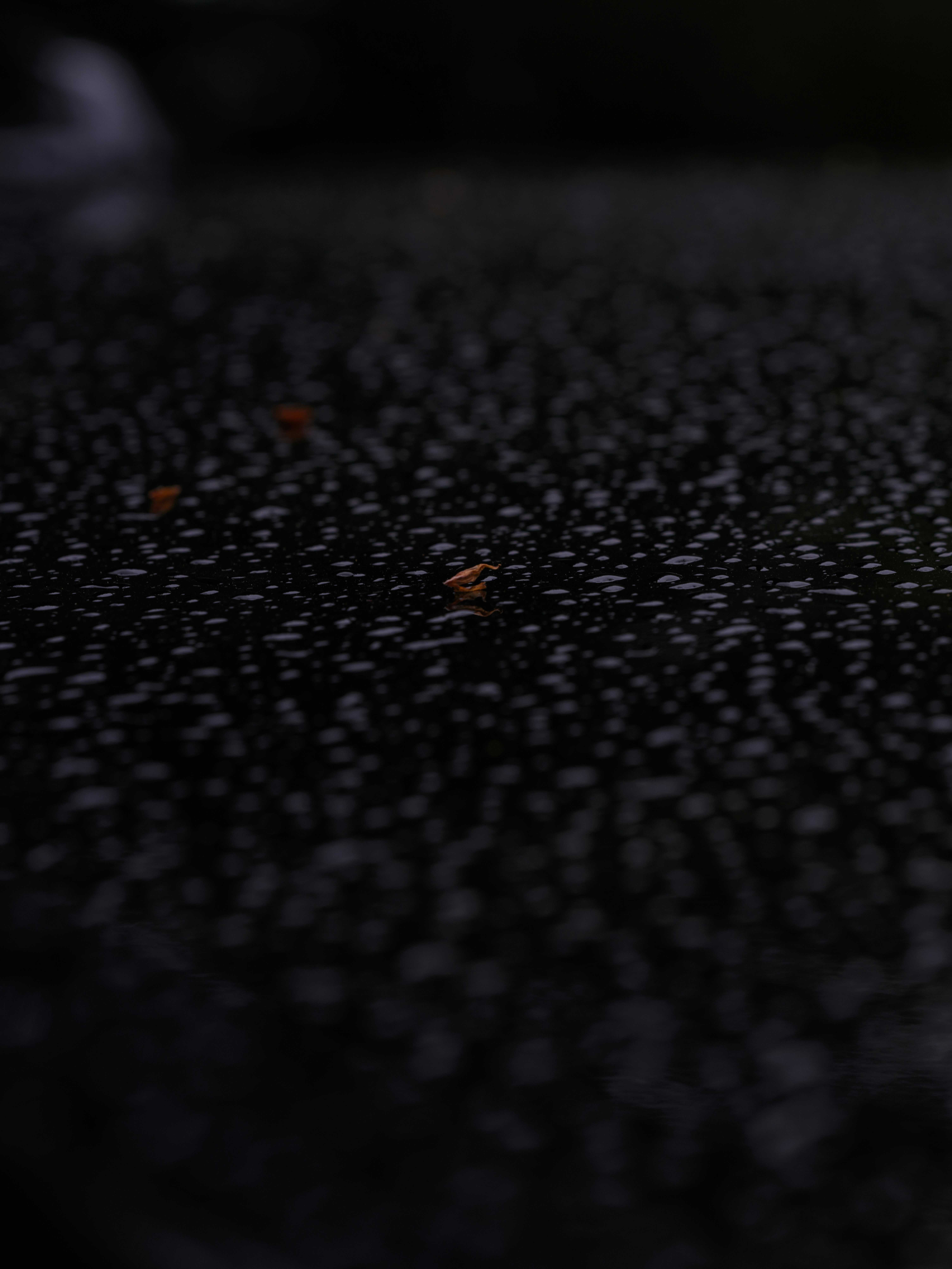 Photo by haberdoedas