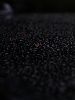 Raindrops cover a dark surface, creating texture.