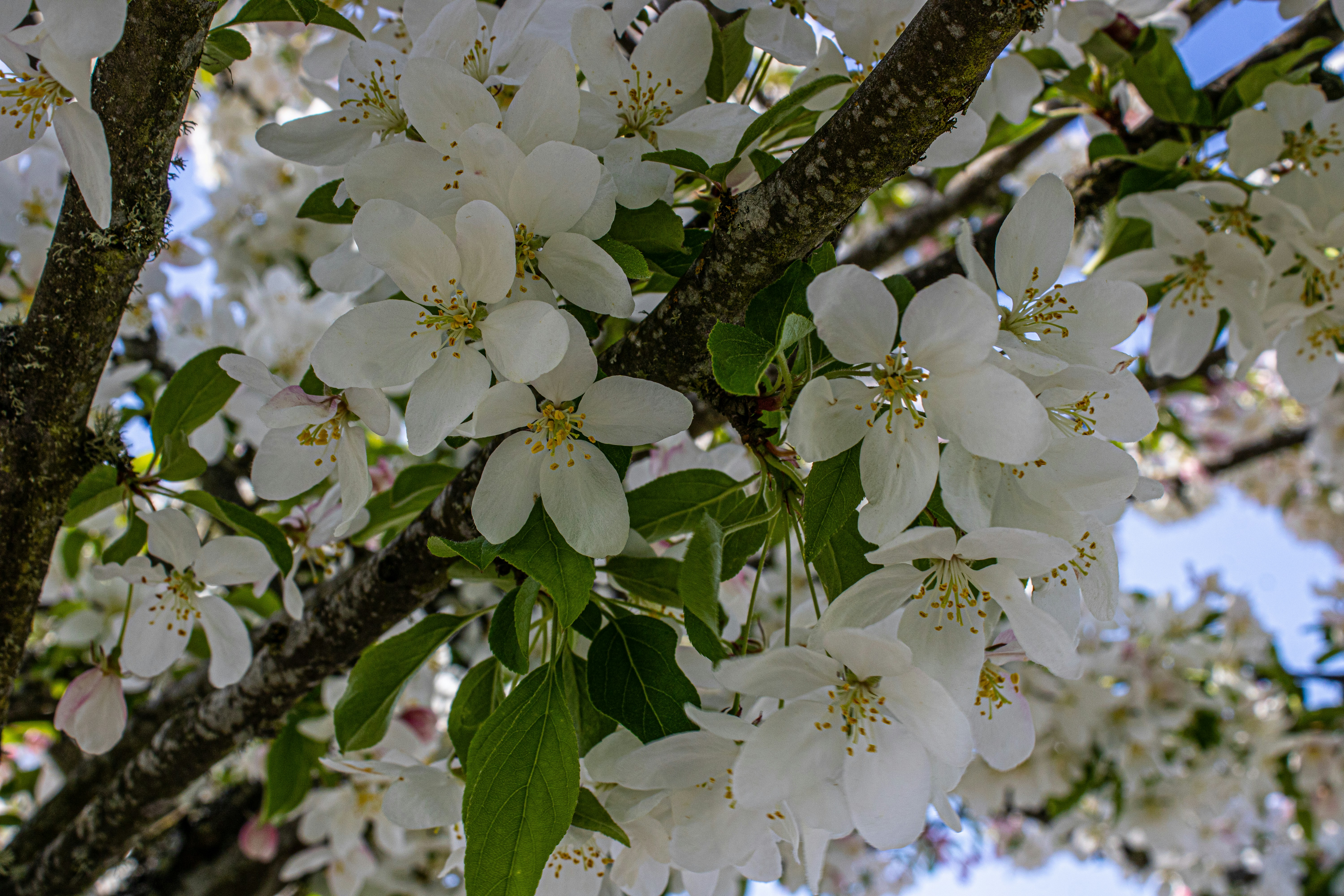 Photo by prphotography262