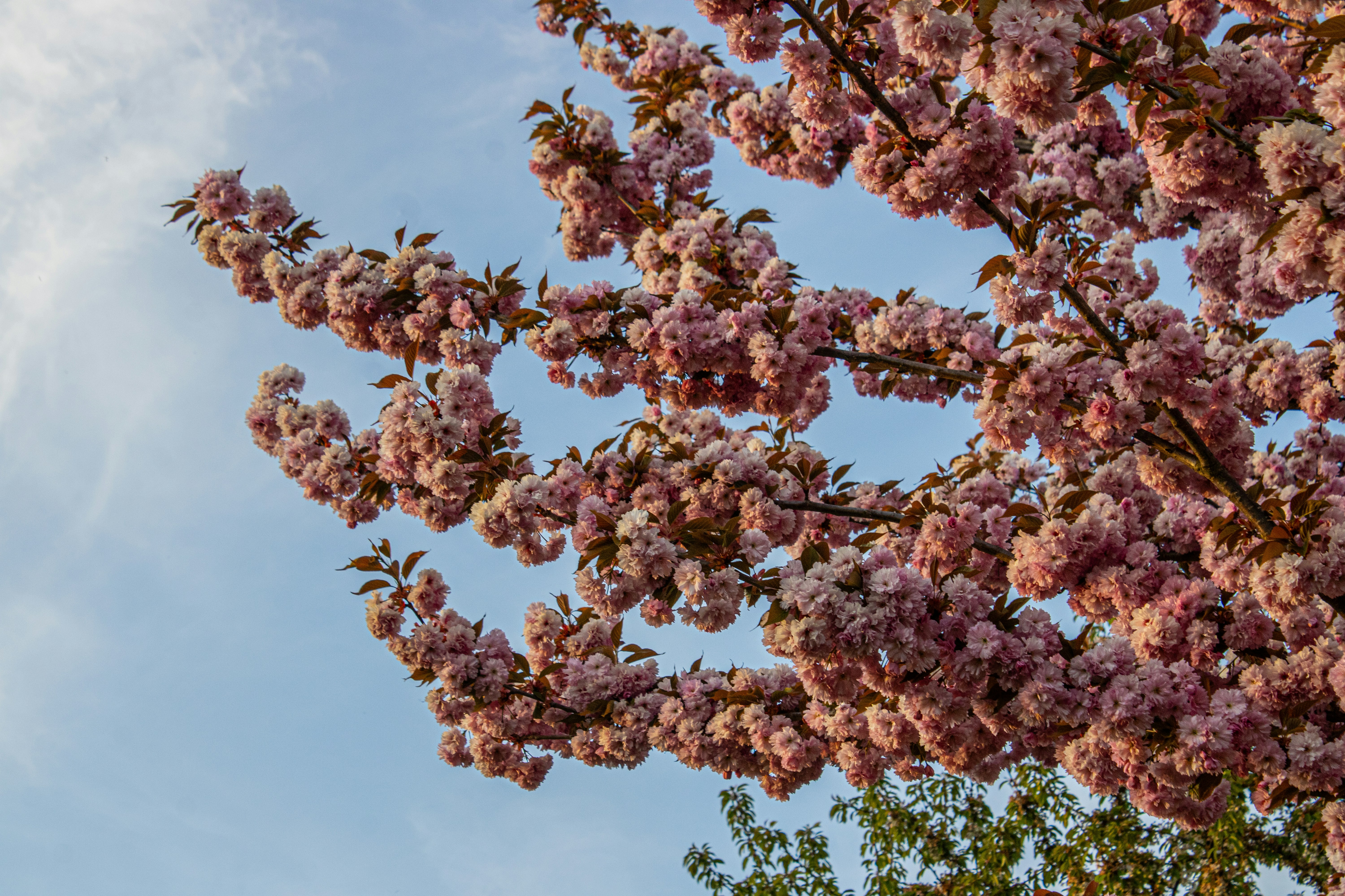 Photo by prphotography262