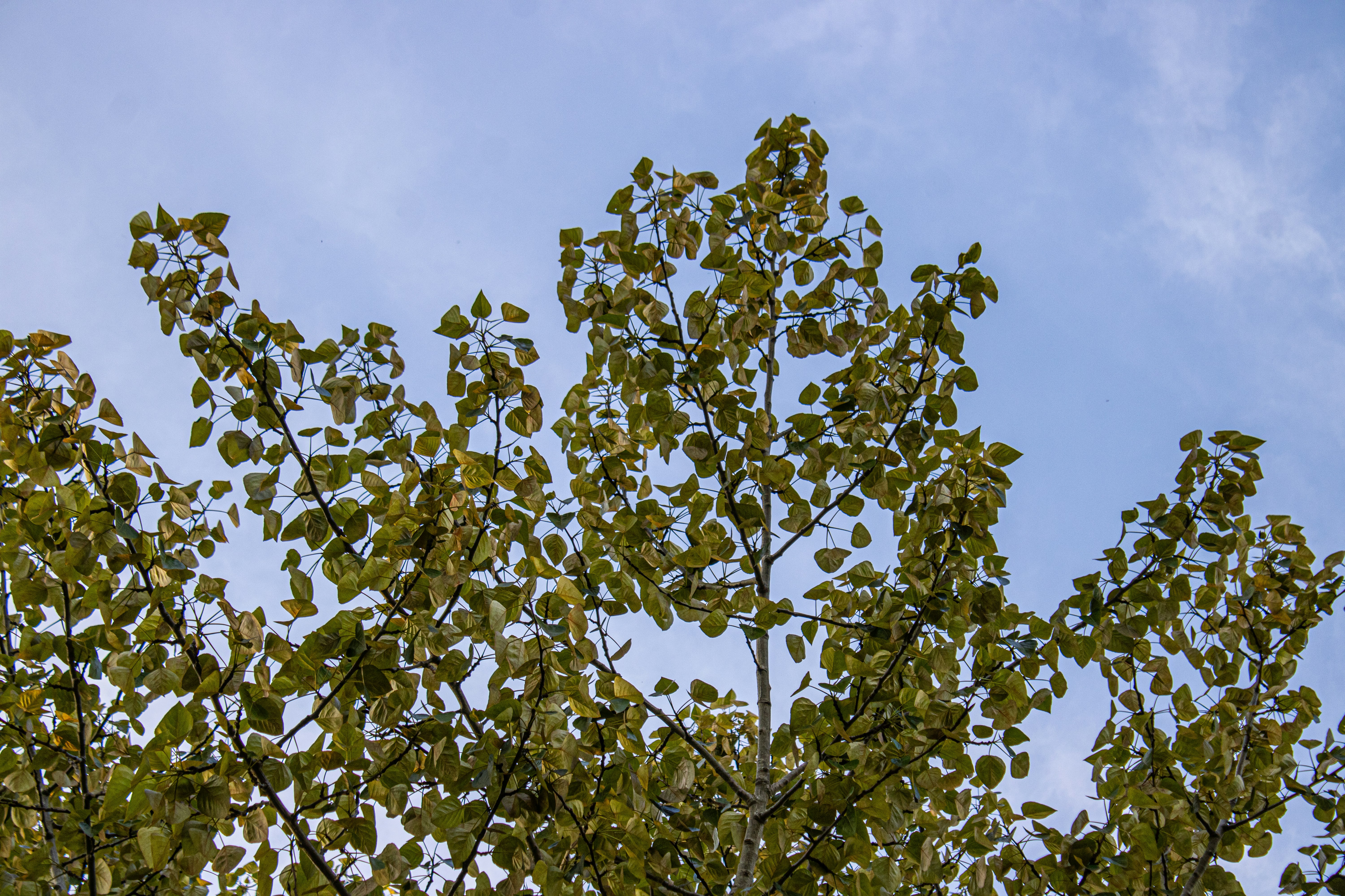 Photo by prphotography262