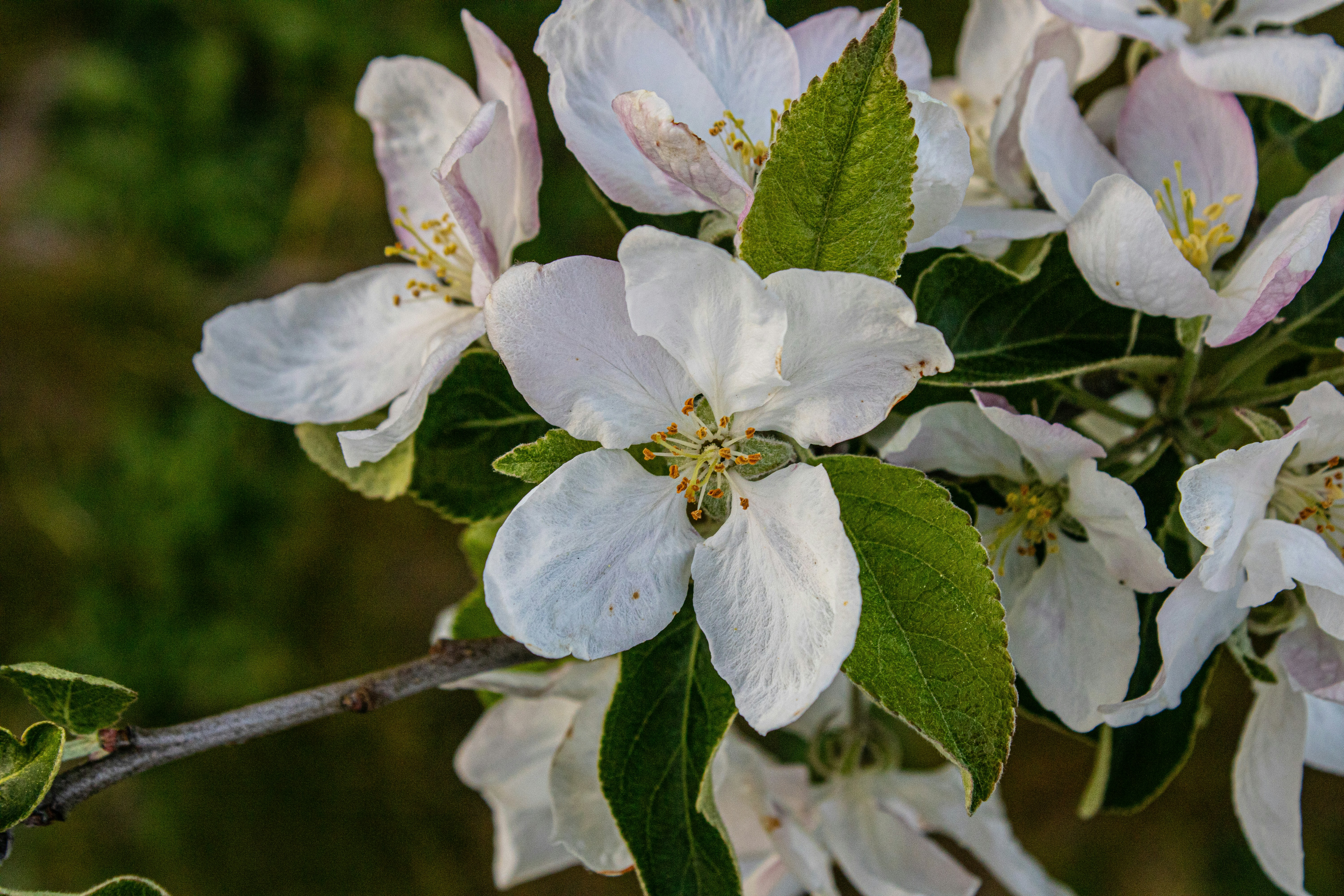 Photo by prphotography262