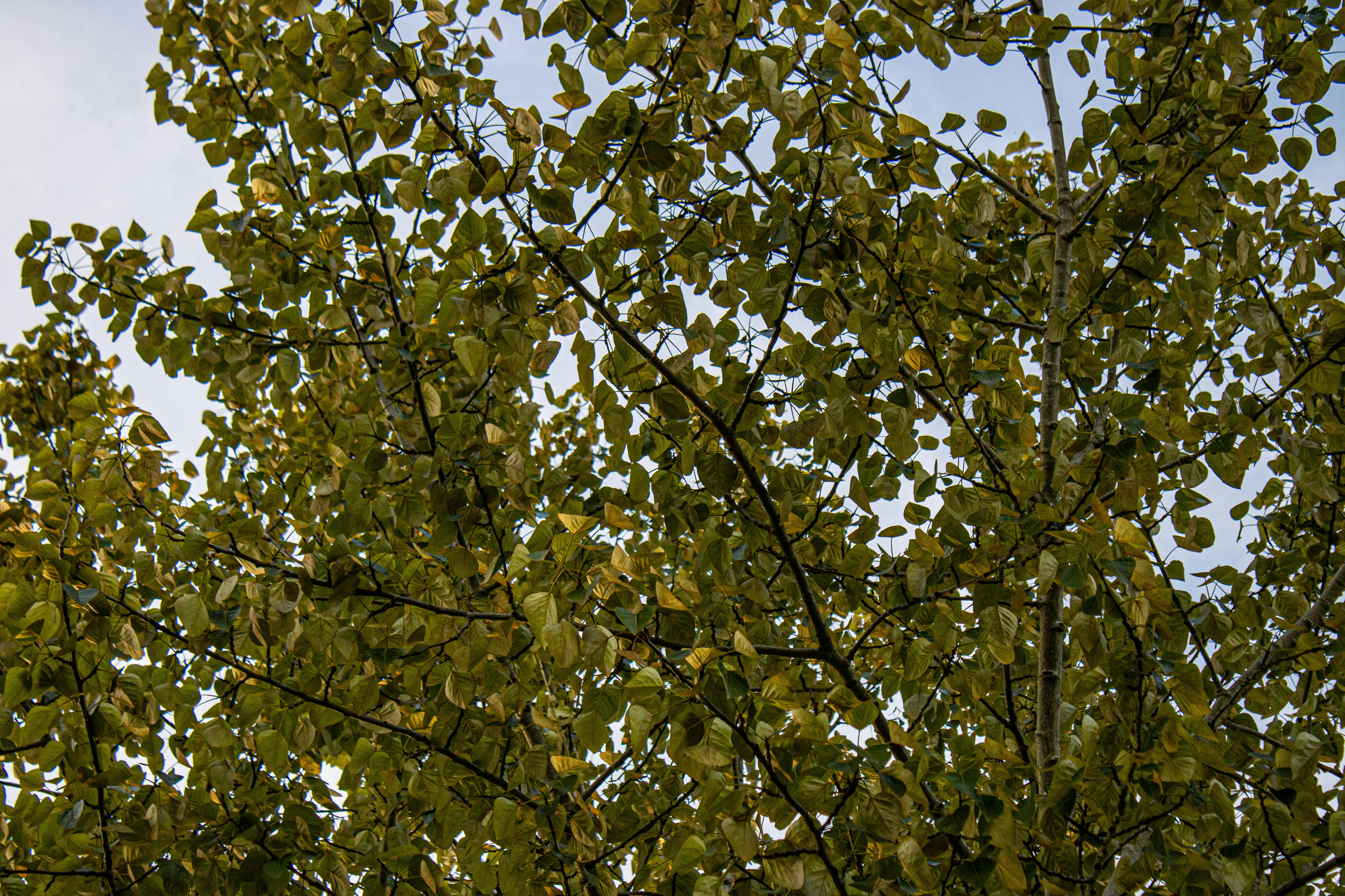 Photo by prphotography262