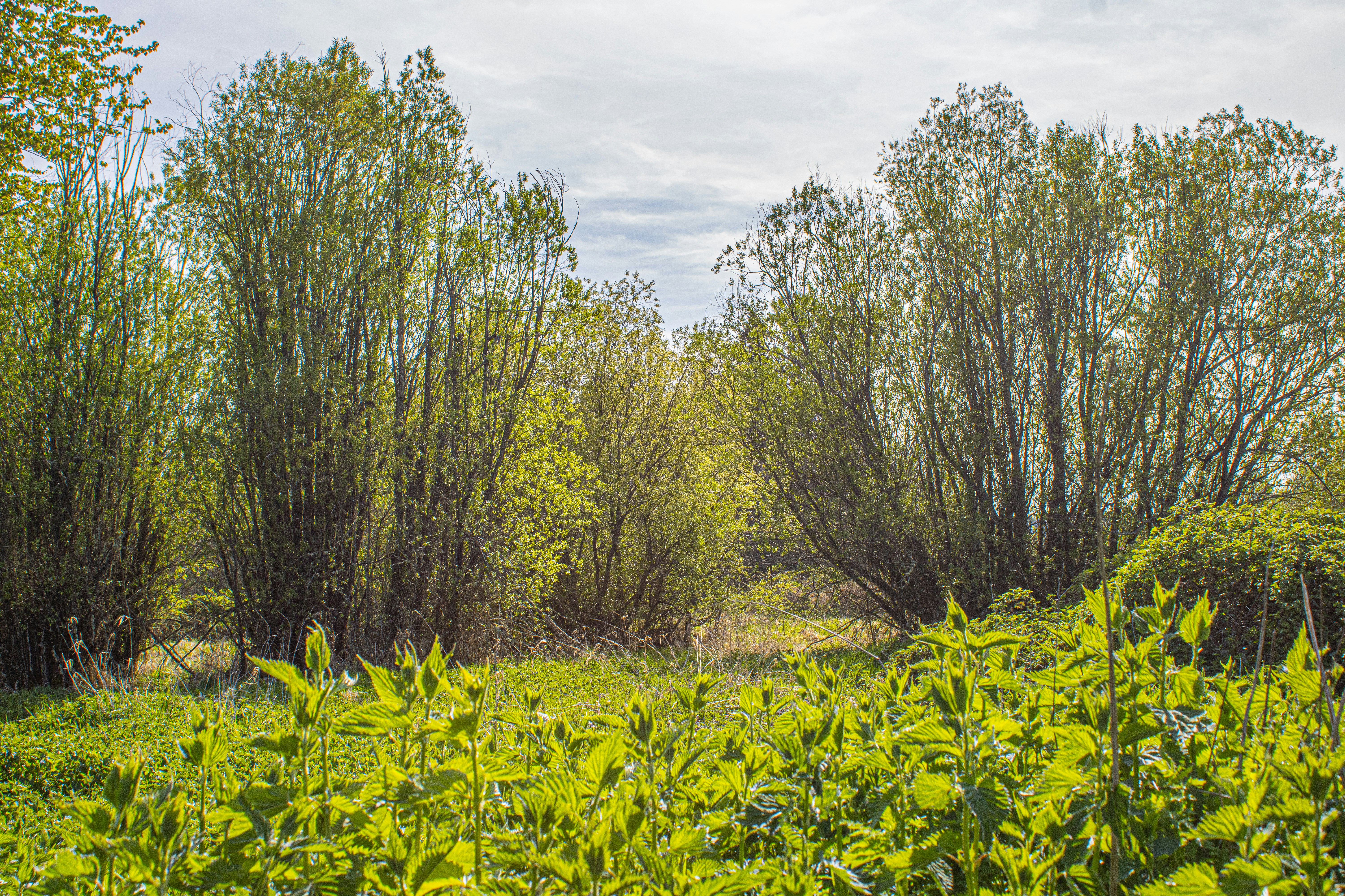 Photo by prphotography262