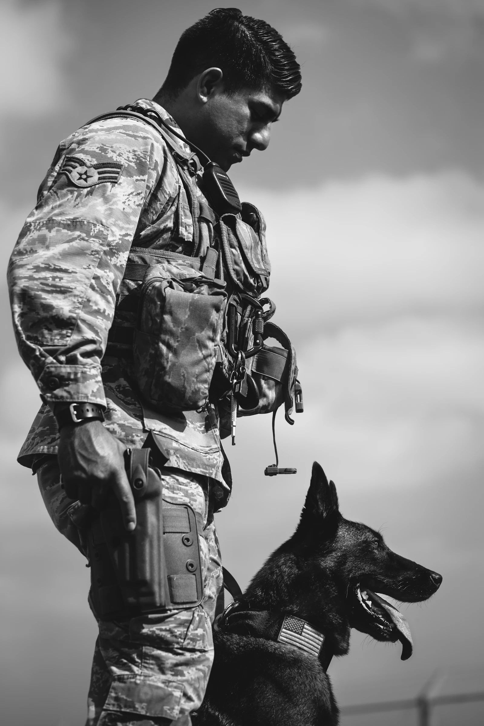 A service member in uniform stands quietly beside his military working dog, one hand resting near the dog while both look out together in steady calm