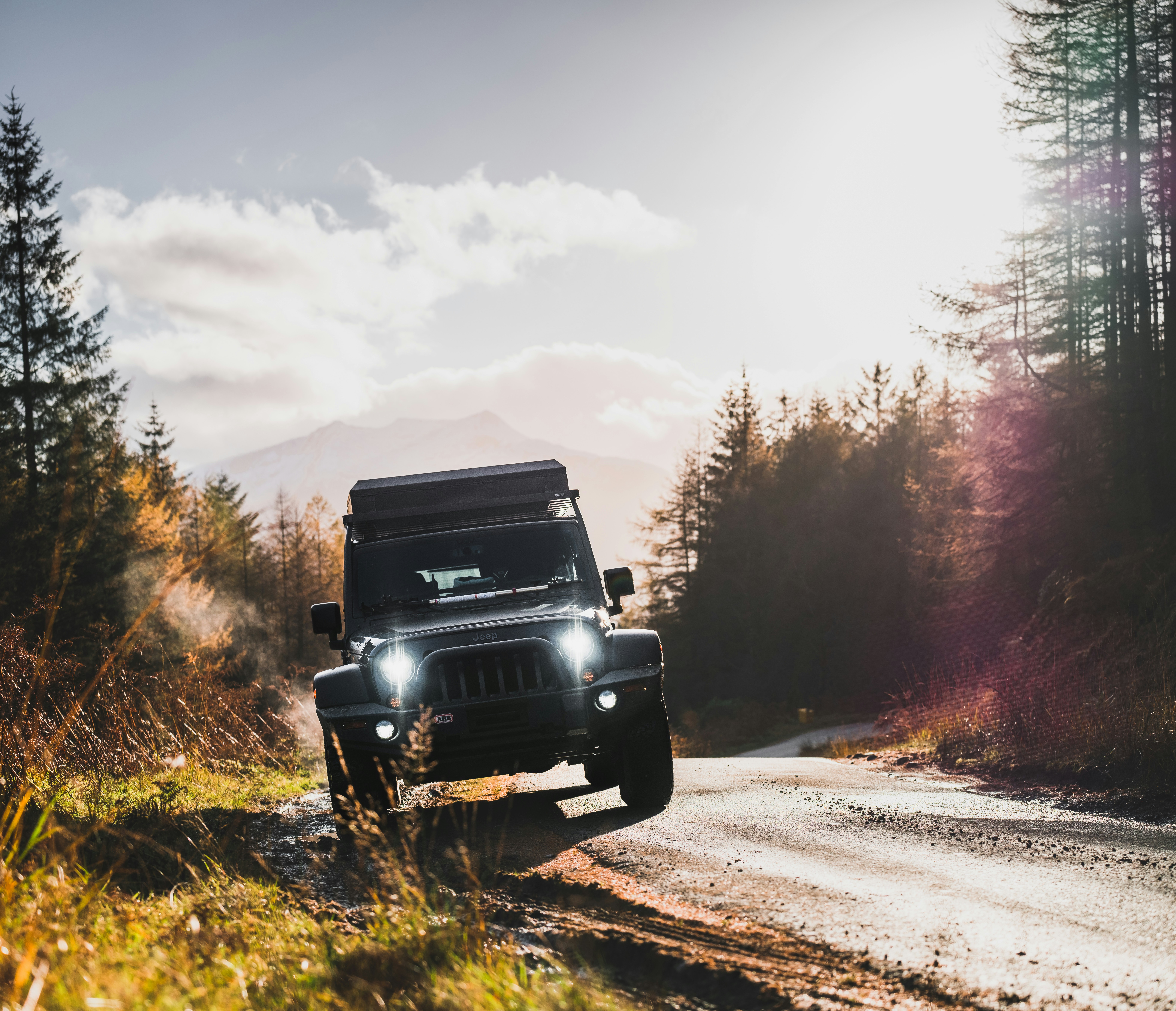 지프 한 대가 숲 속의 비포장 도로를 달리고 있습니다.