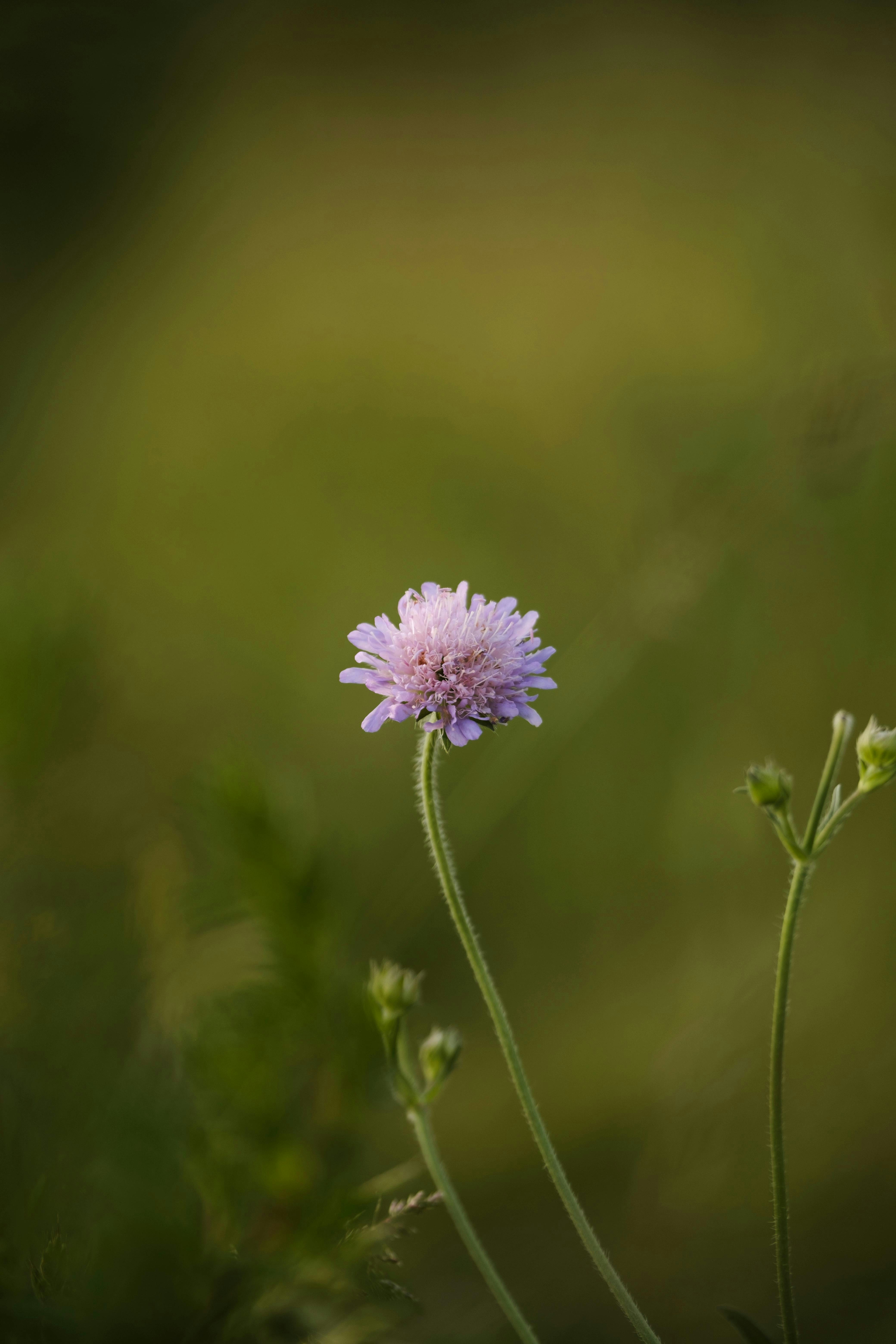 Photo by americanaez225