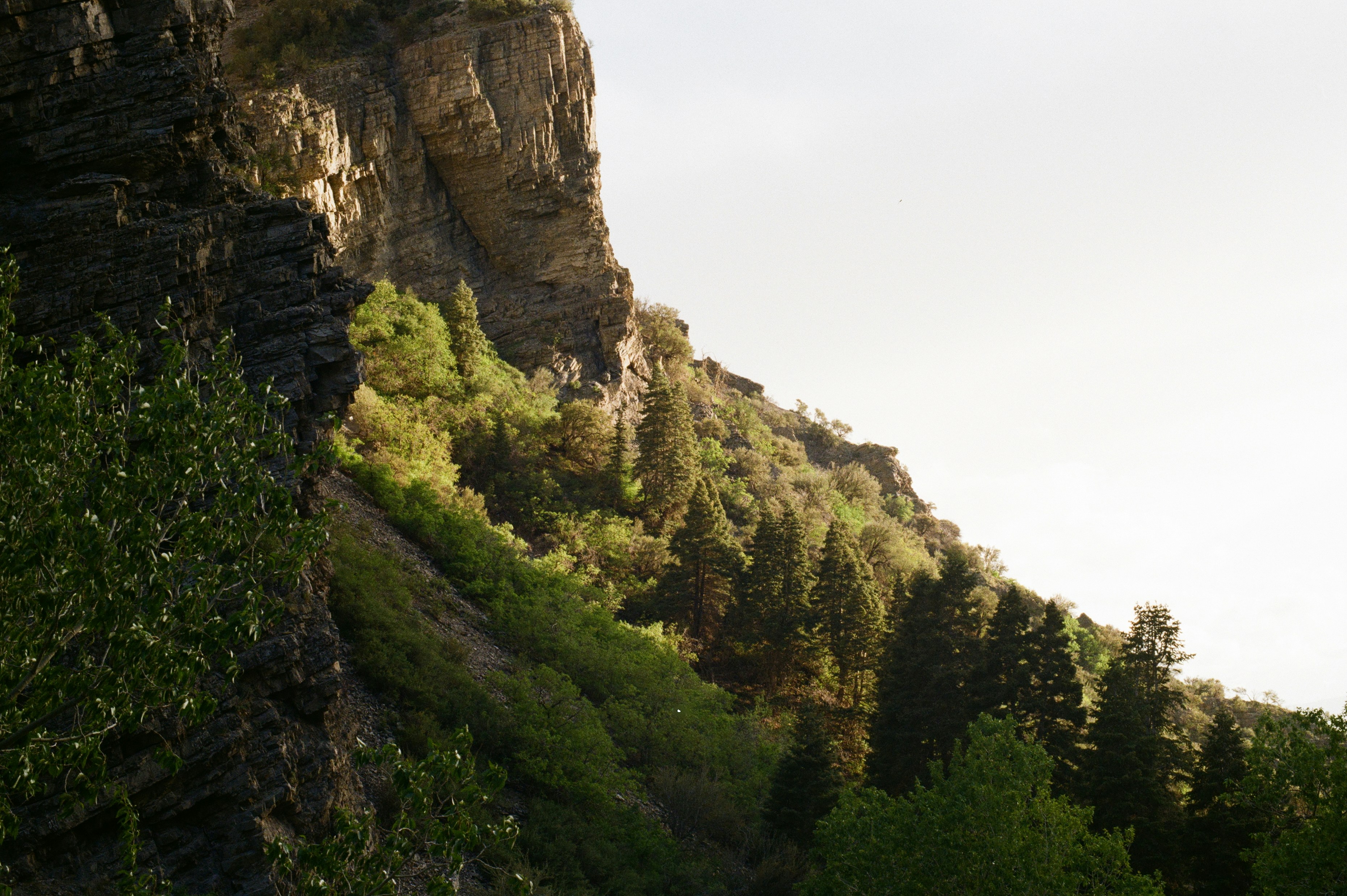 Photo by theguccer2100