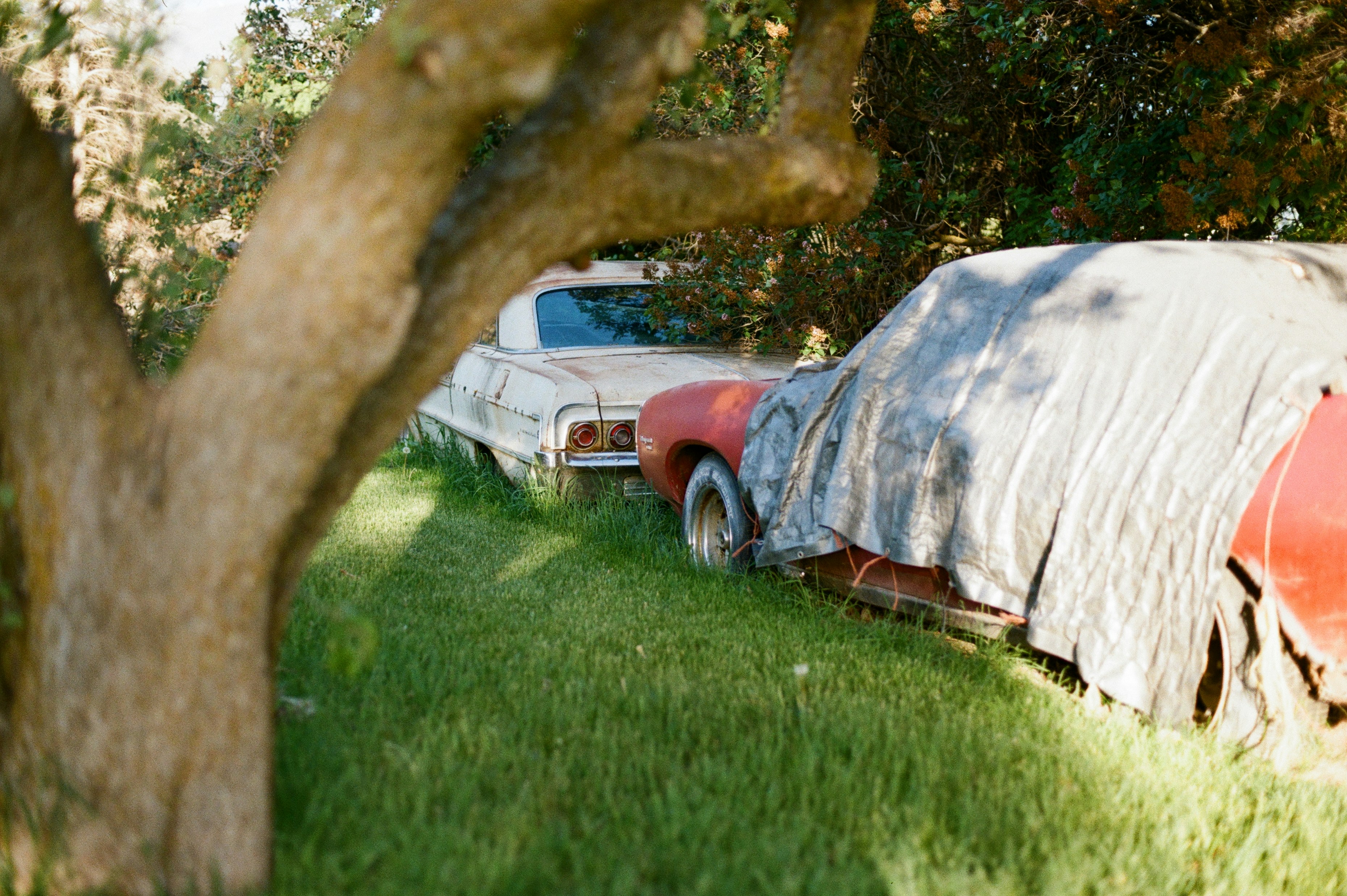 Photo by theguccer2100