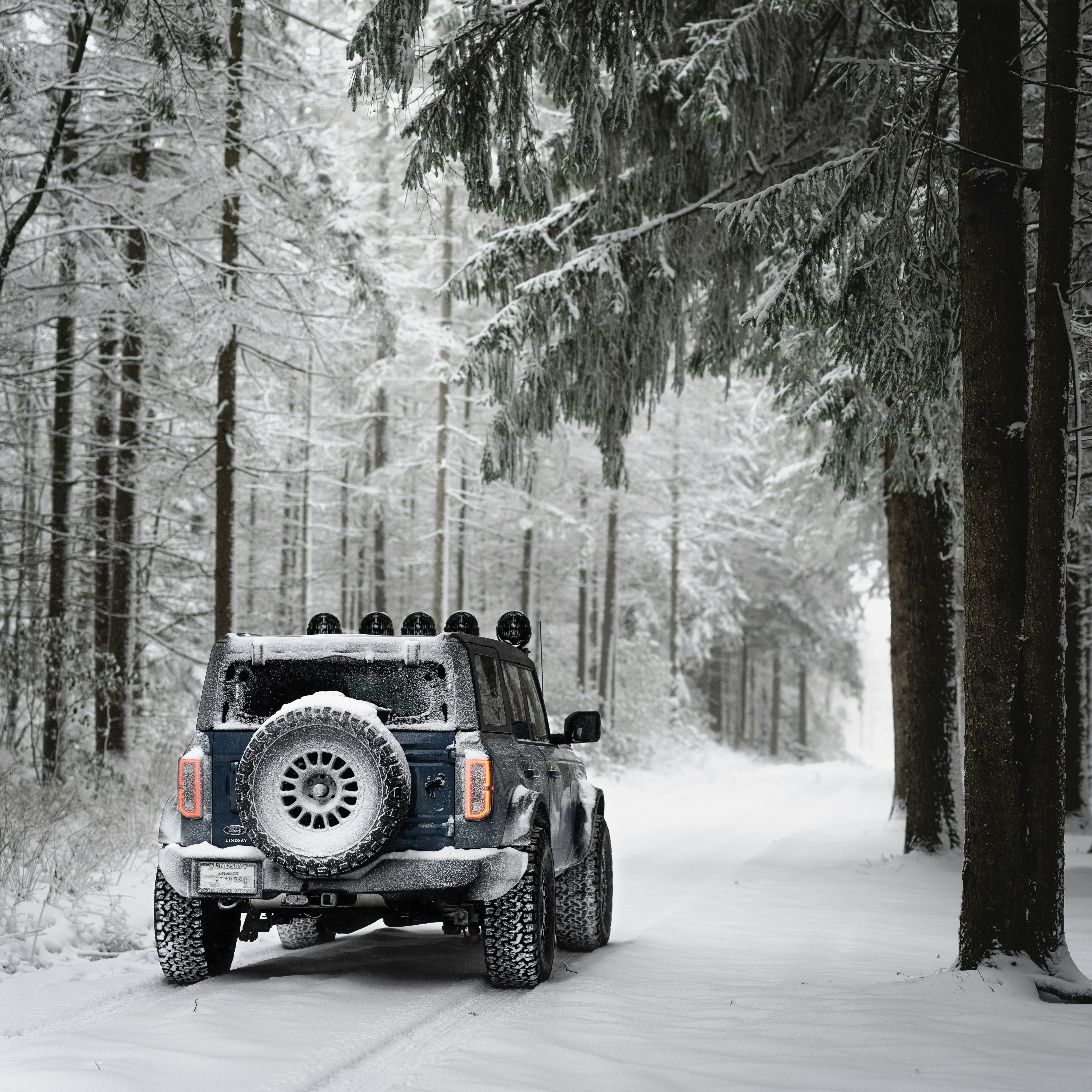 트럭 한 대가 눈 덮인 숲길을 달린다.