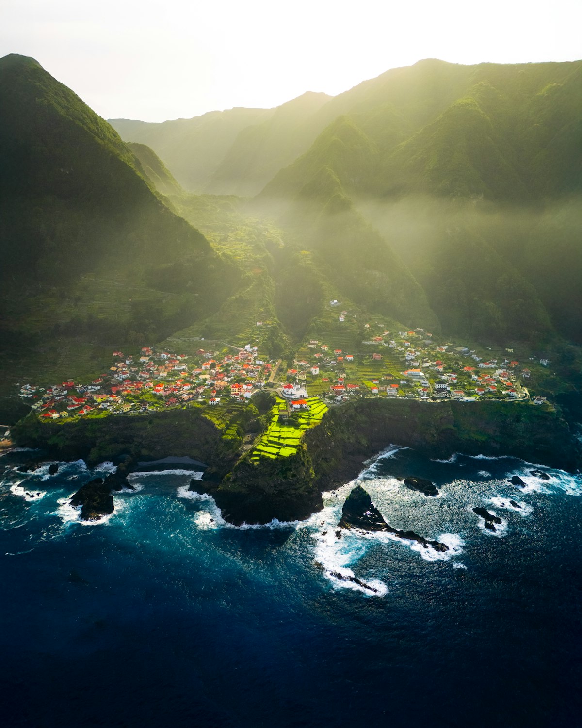 Madeira March — levada trail through green laurel forest in spring