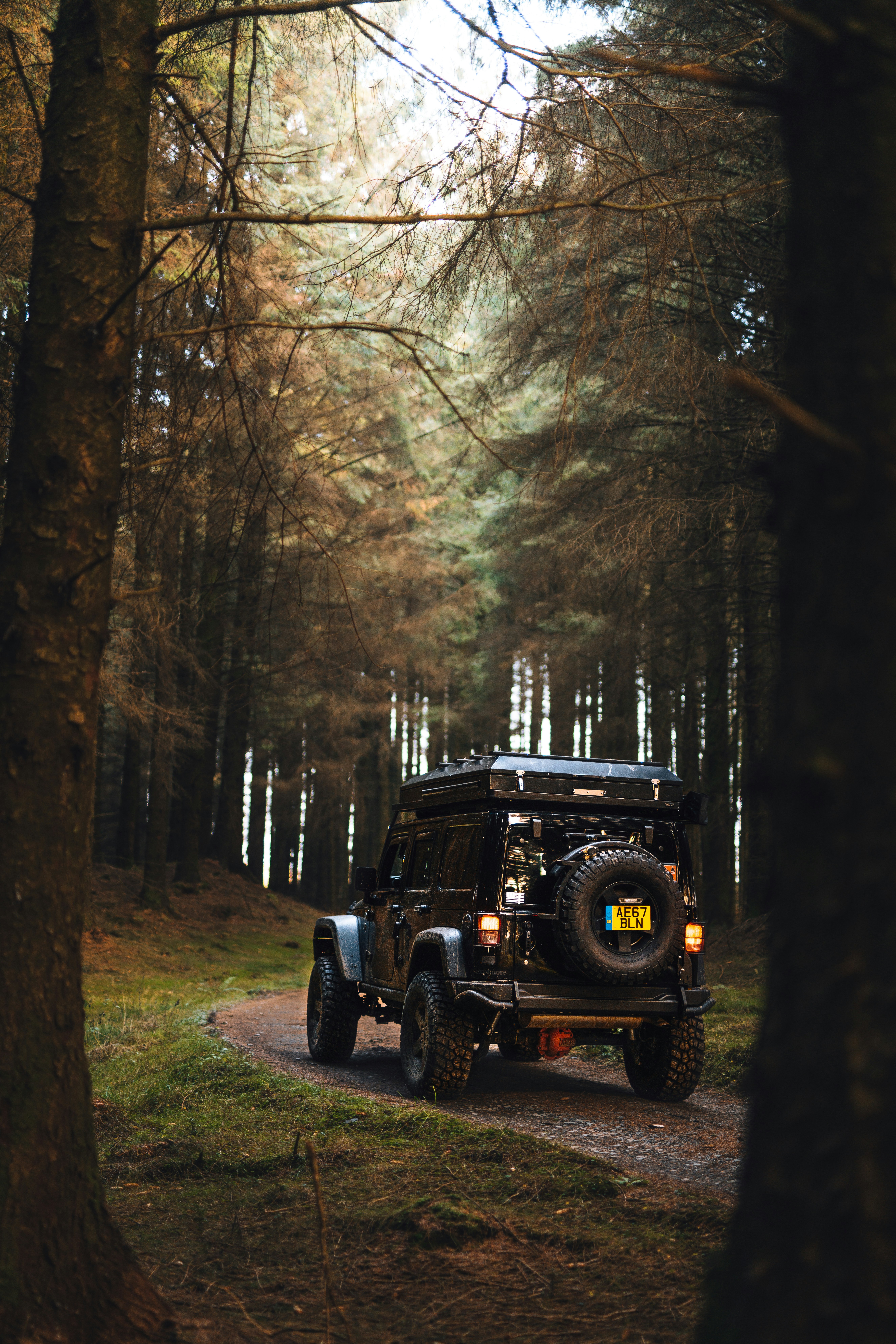 울퉁불퉁한 차량이 숲 속의 길을 달린다.