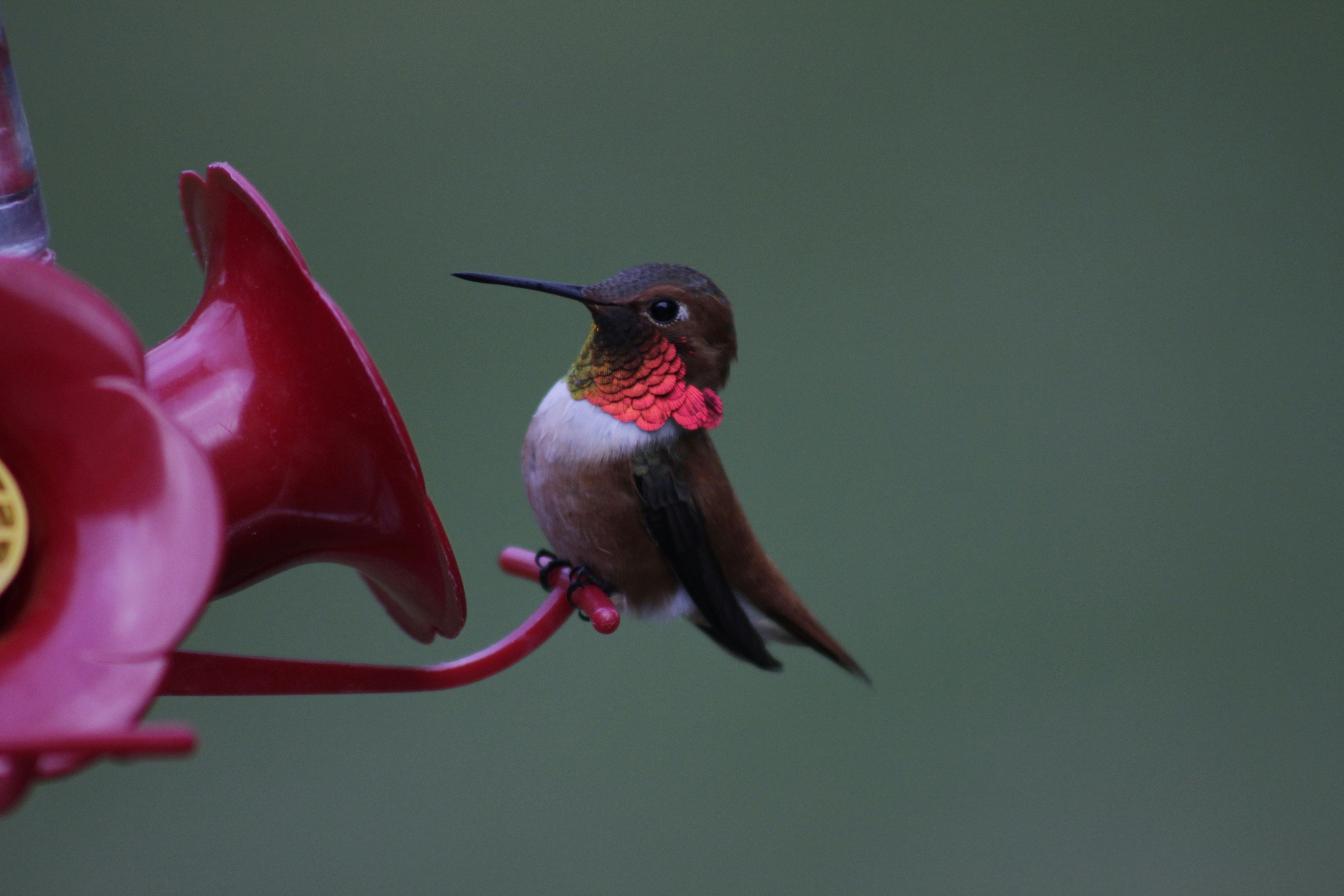 Photo by brighteyes2008