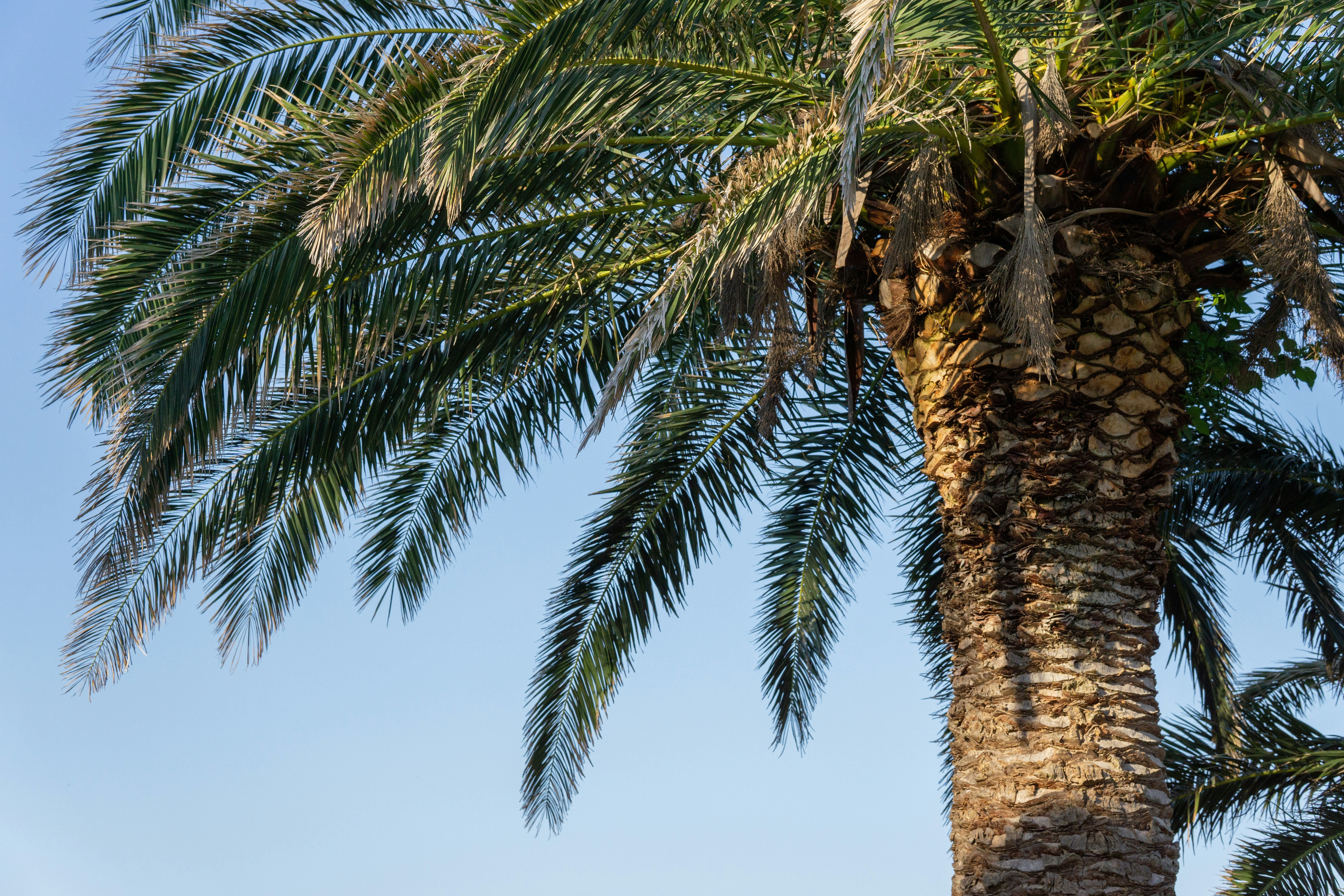 Photo by sinisalekovic