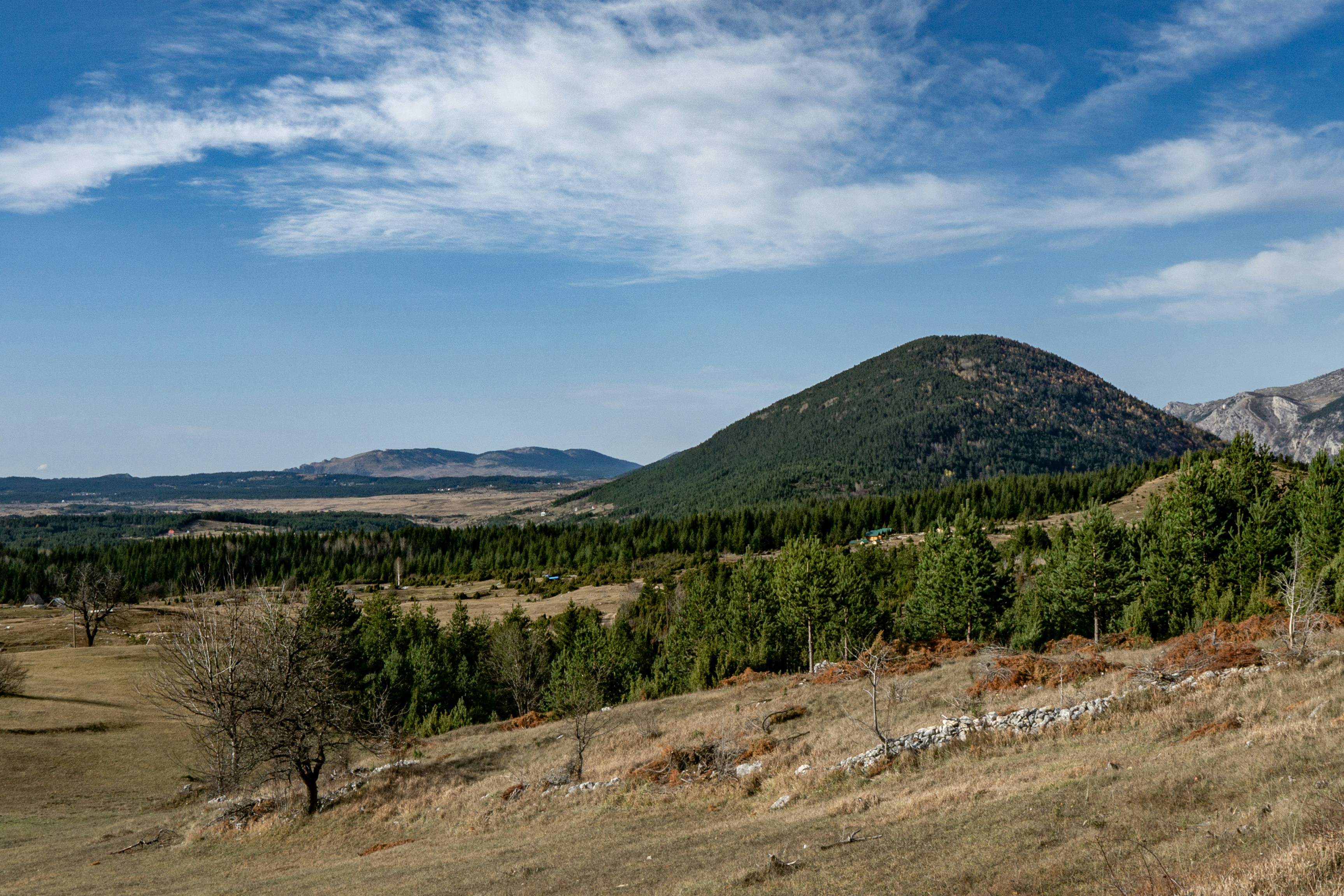 Photo by sinisalekovic