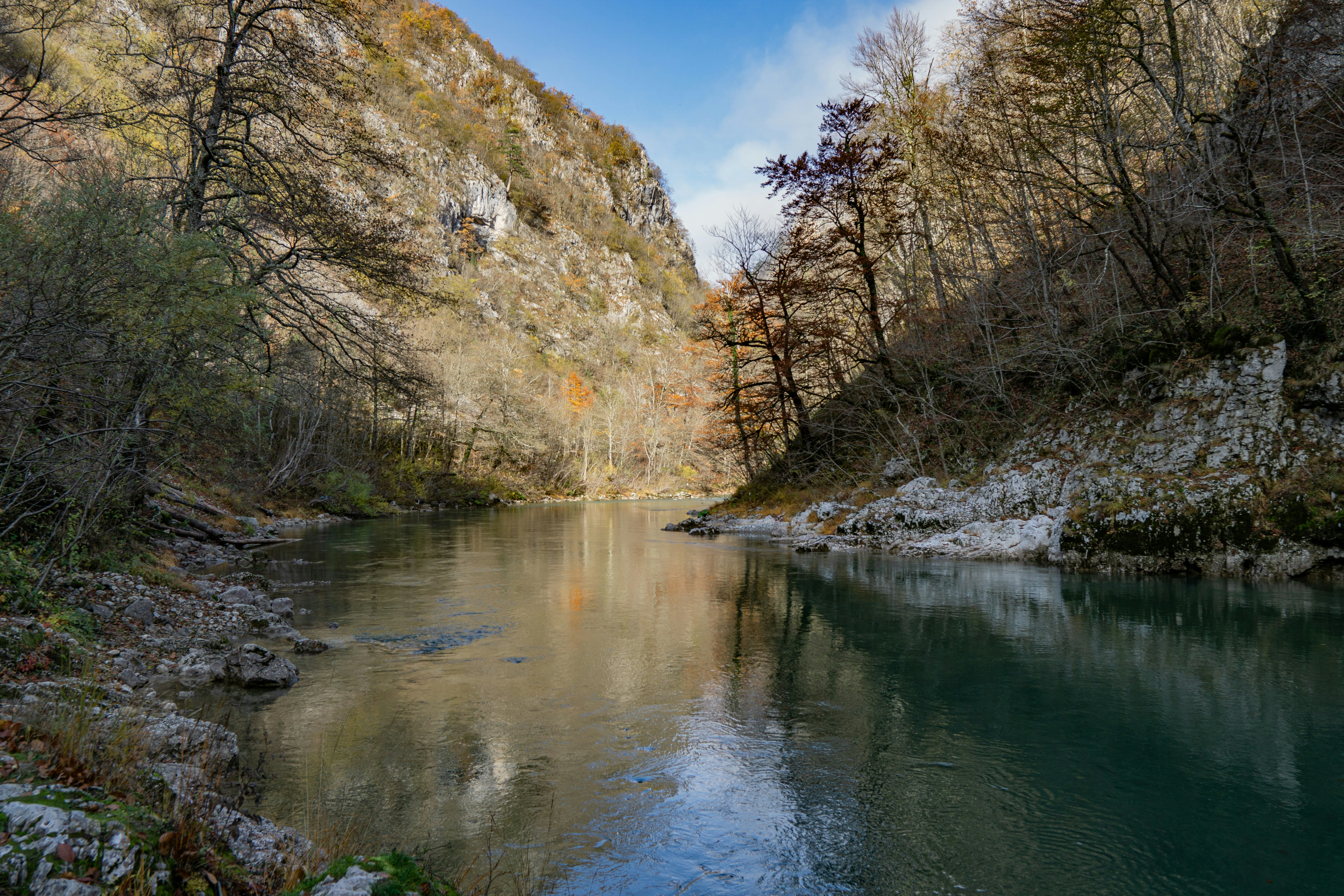 Photo by sinisalekovic