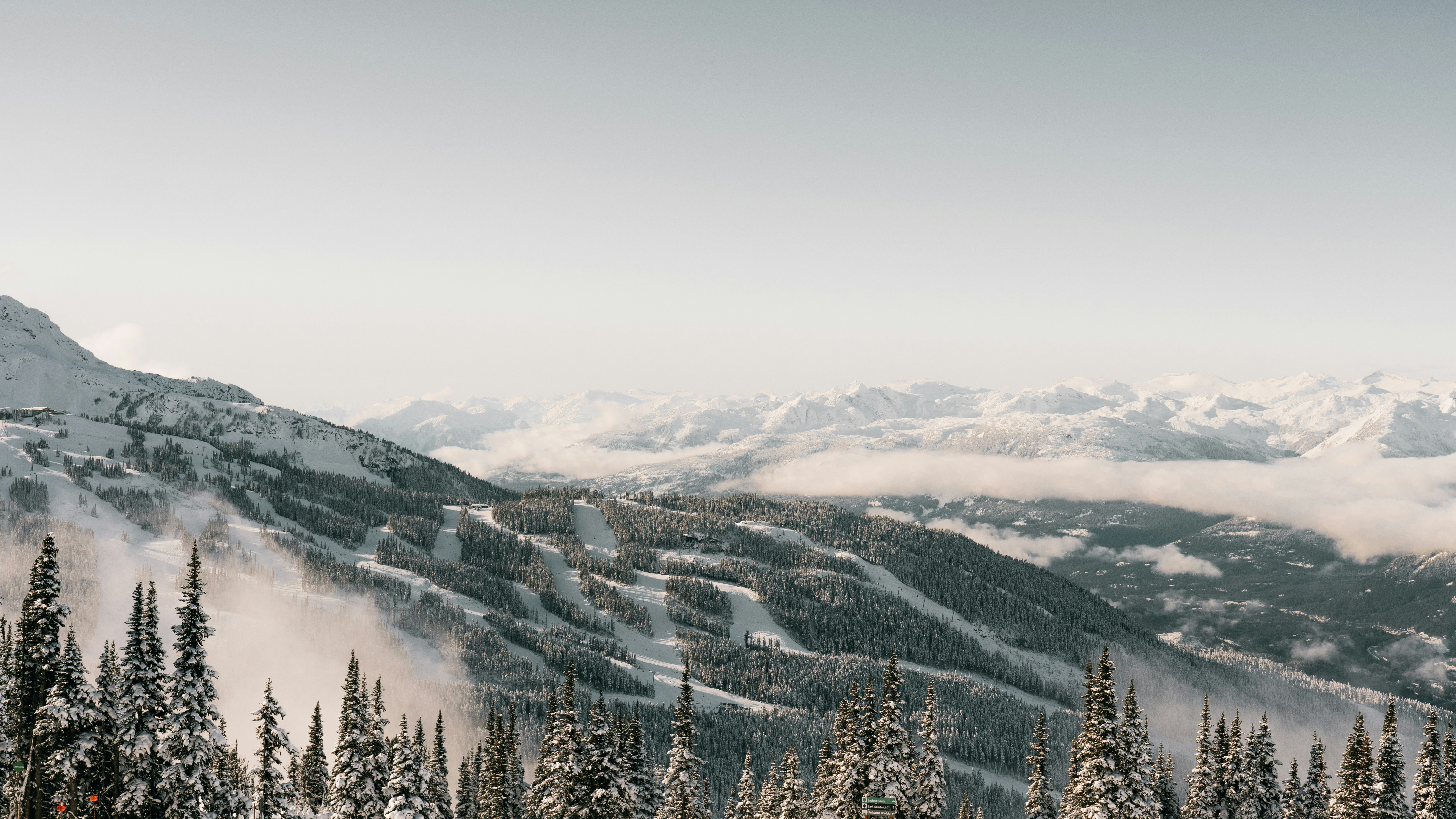 Find Out The Essential Suggestions And Understandings For Employing A Female Stripper For The Very First Time, Guaranteeing A Remarkable Experience. What Should You Be Educated About?