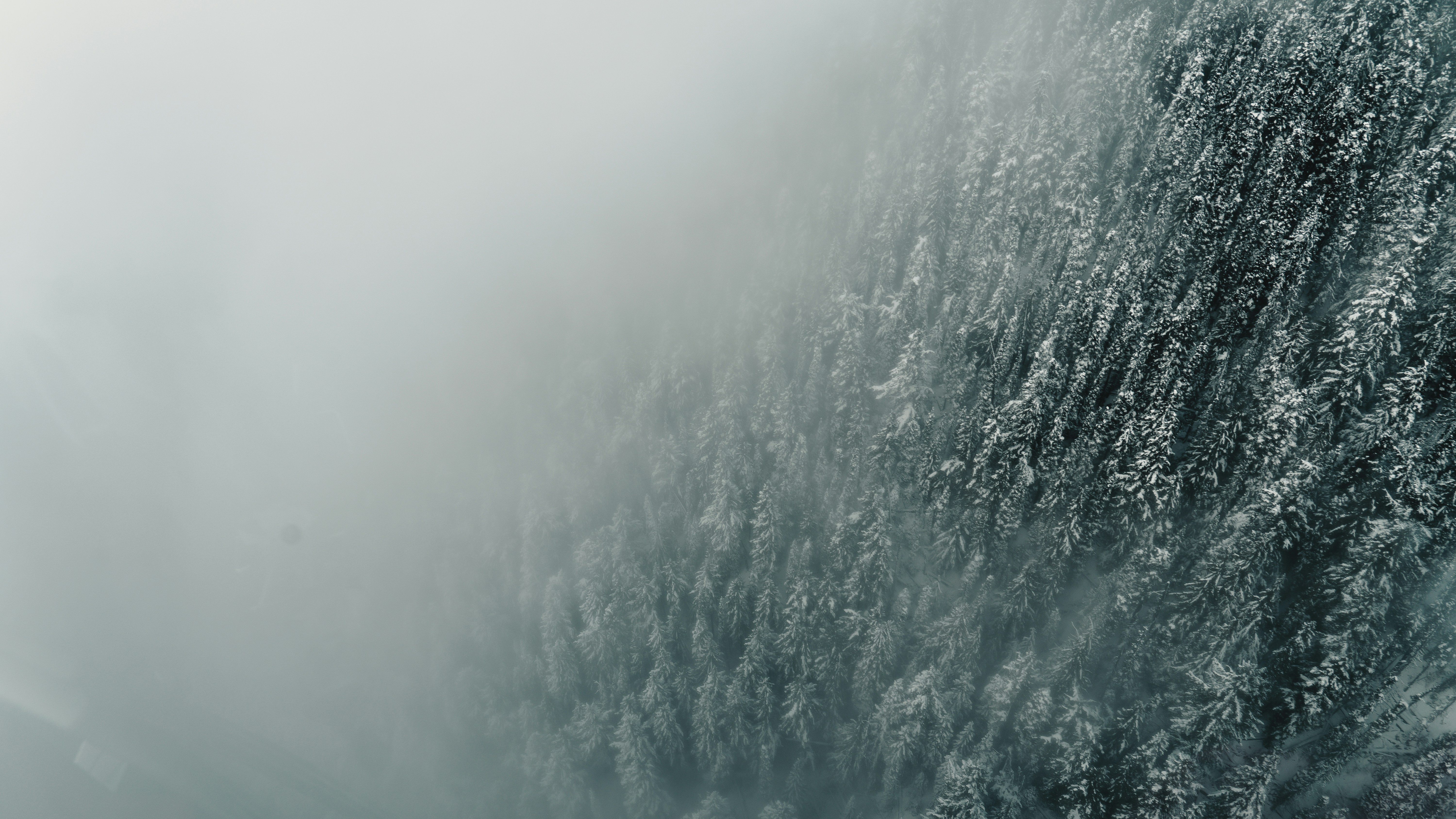 Photo by matthewryanstephenson