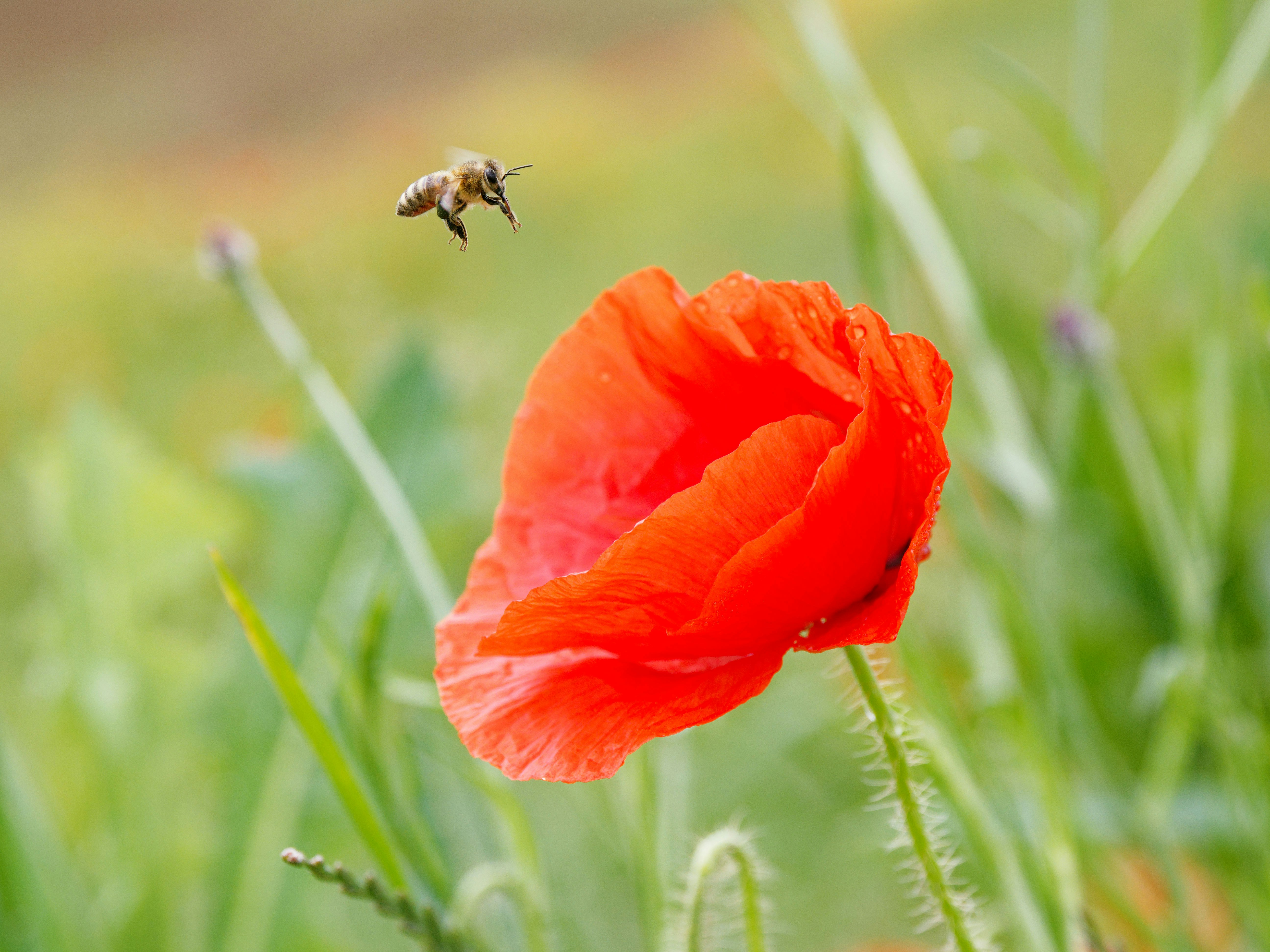 Photo by illes_cristi