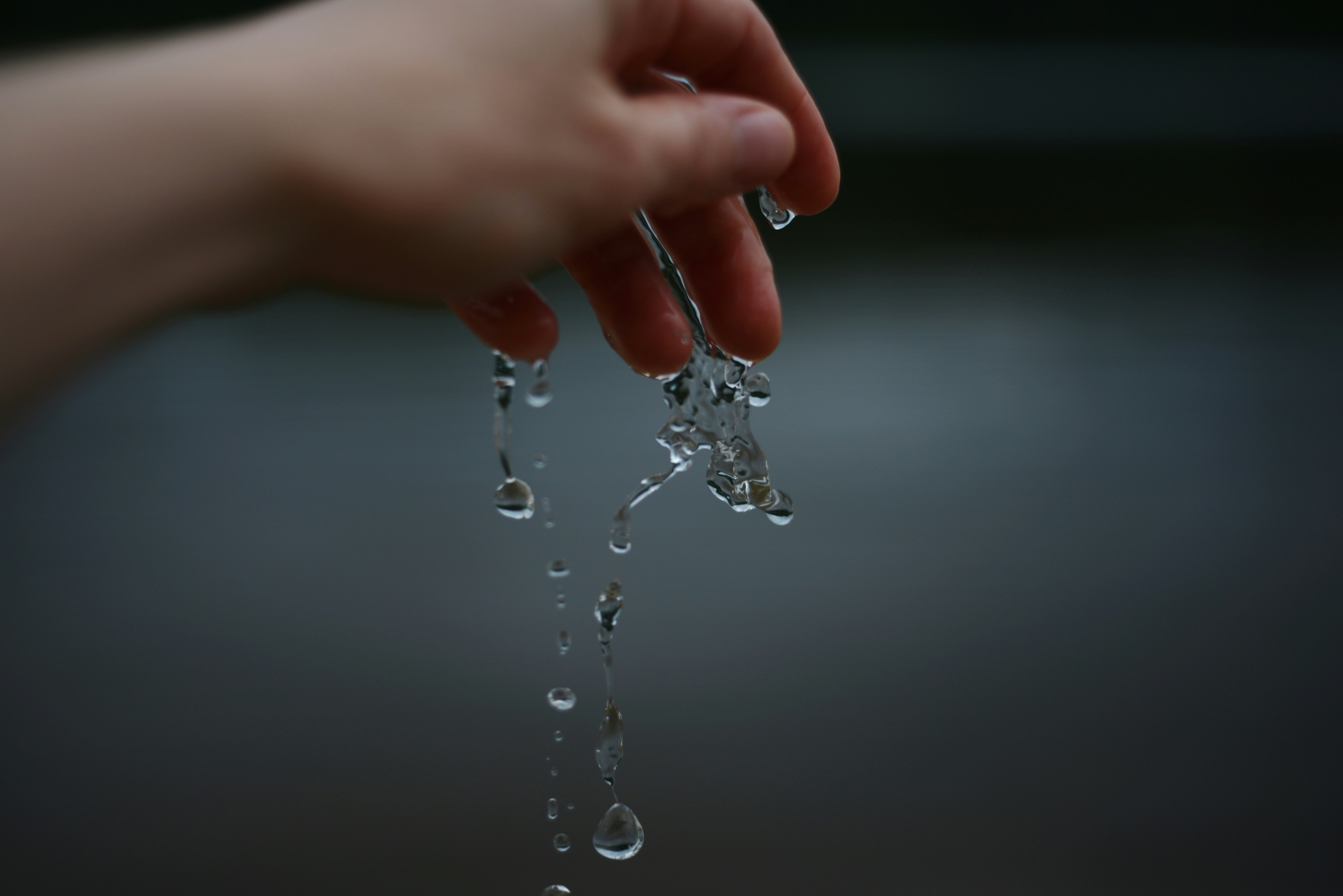 Photo by cherstve_pechivo