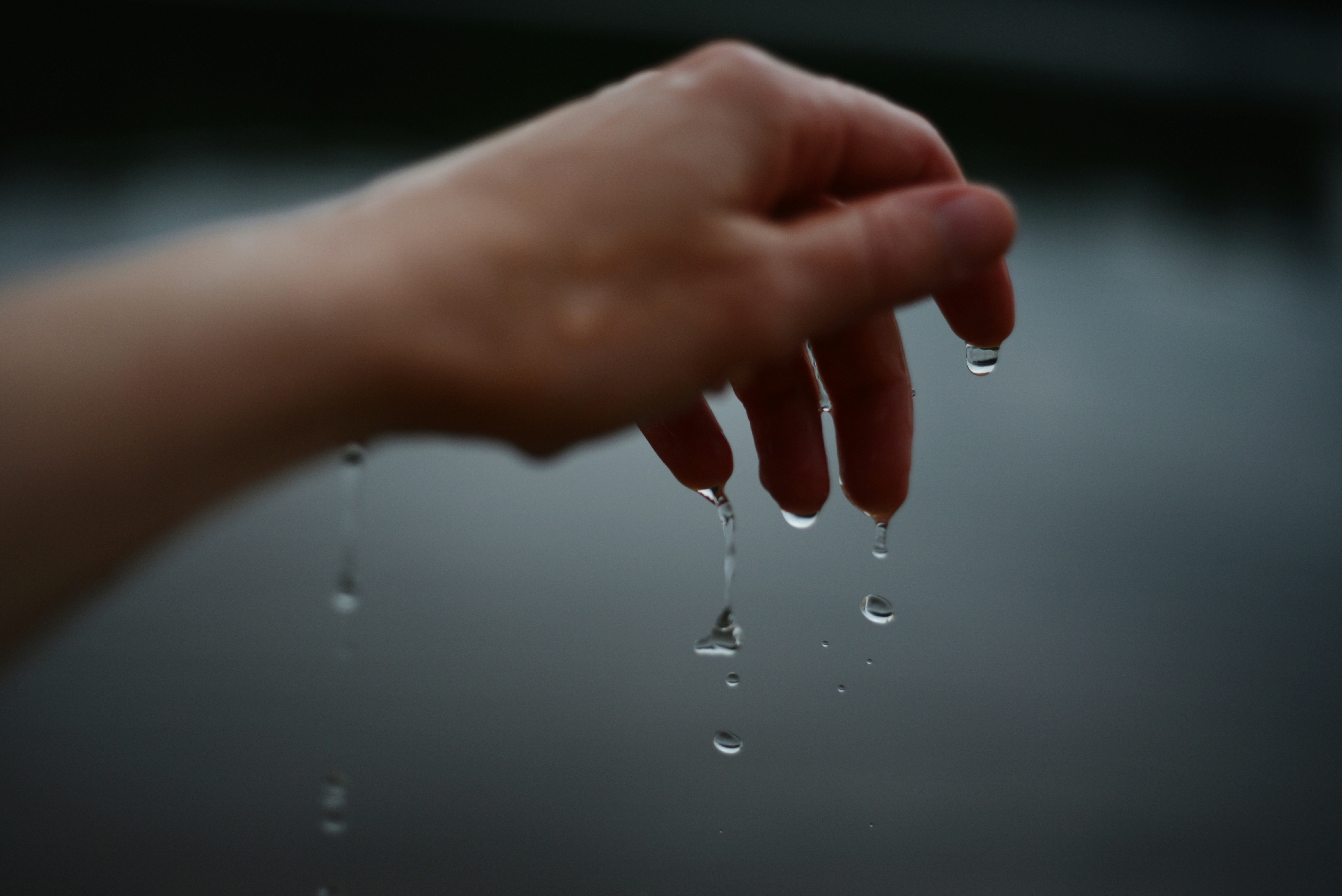 Photo by cherstve_pechivo