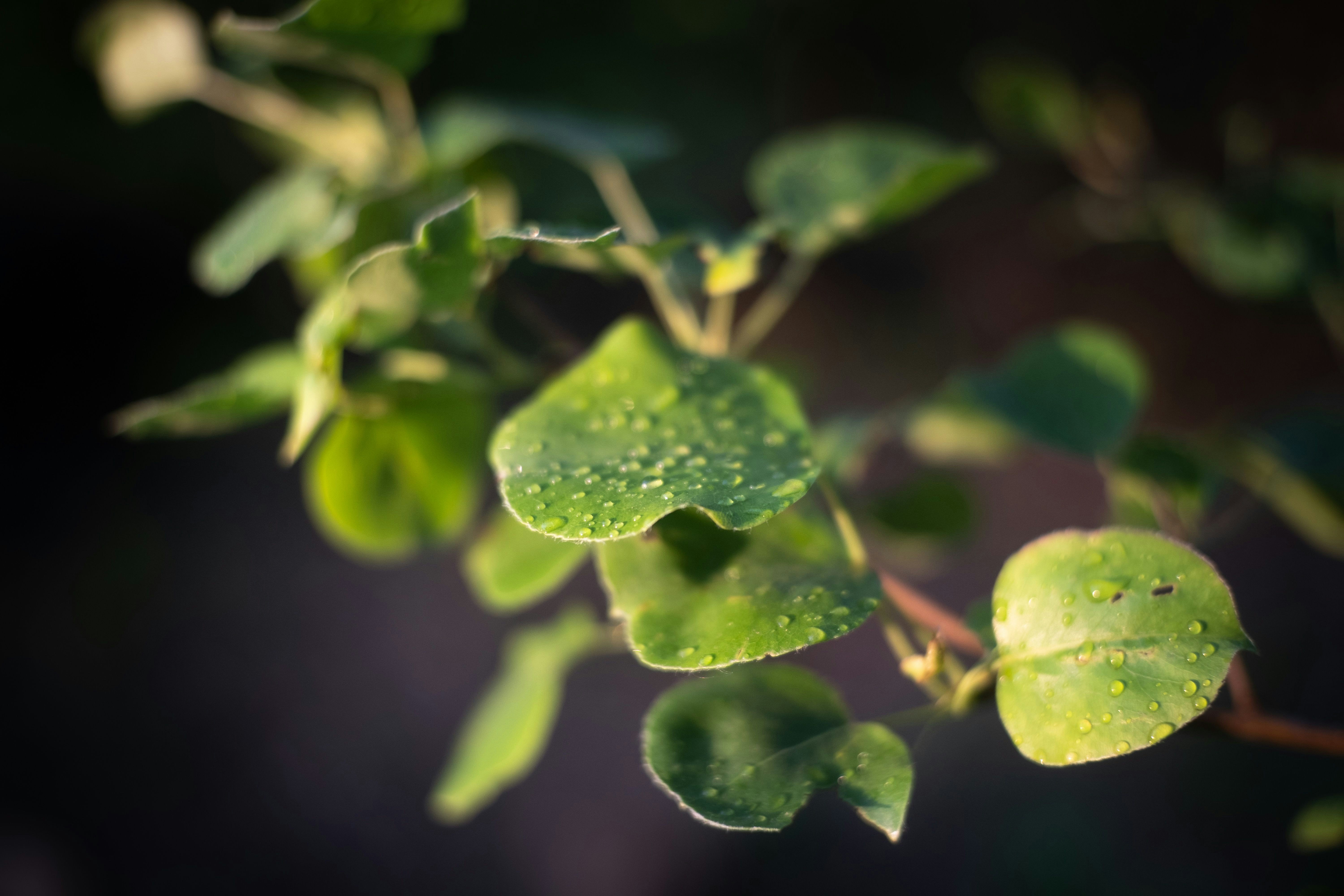 Photo by sevencolors