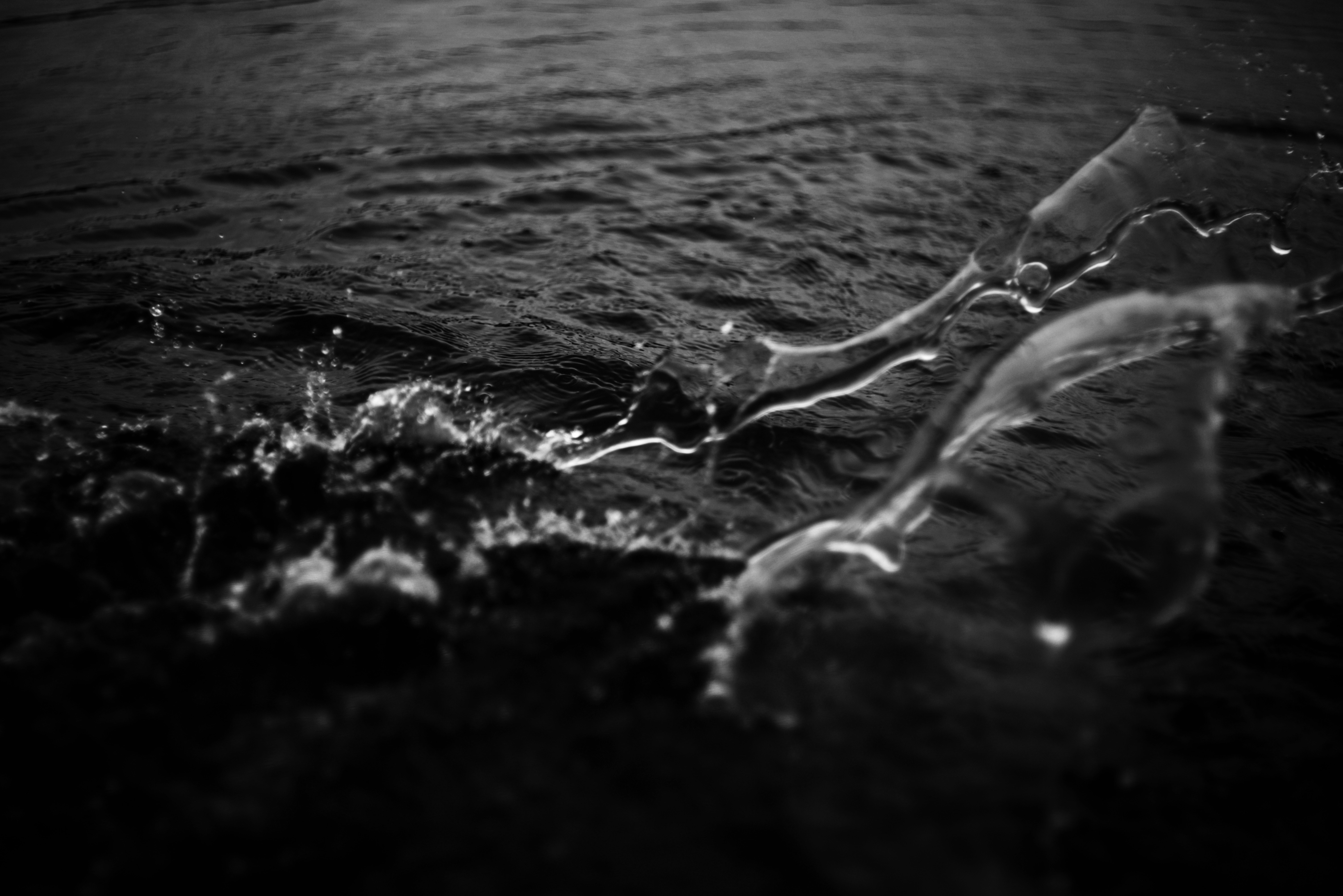 Photo by cherstve_pechivo