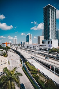 Miami's skyline with highway and palm trees.